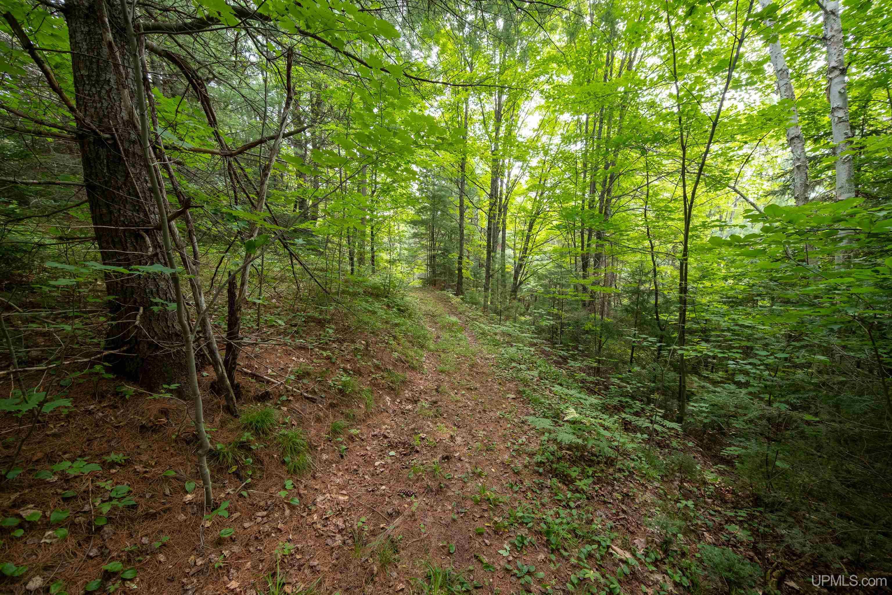 main property photo 68