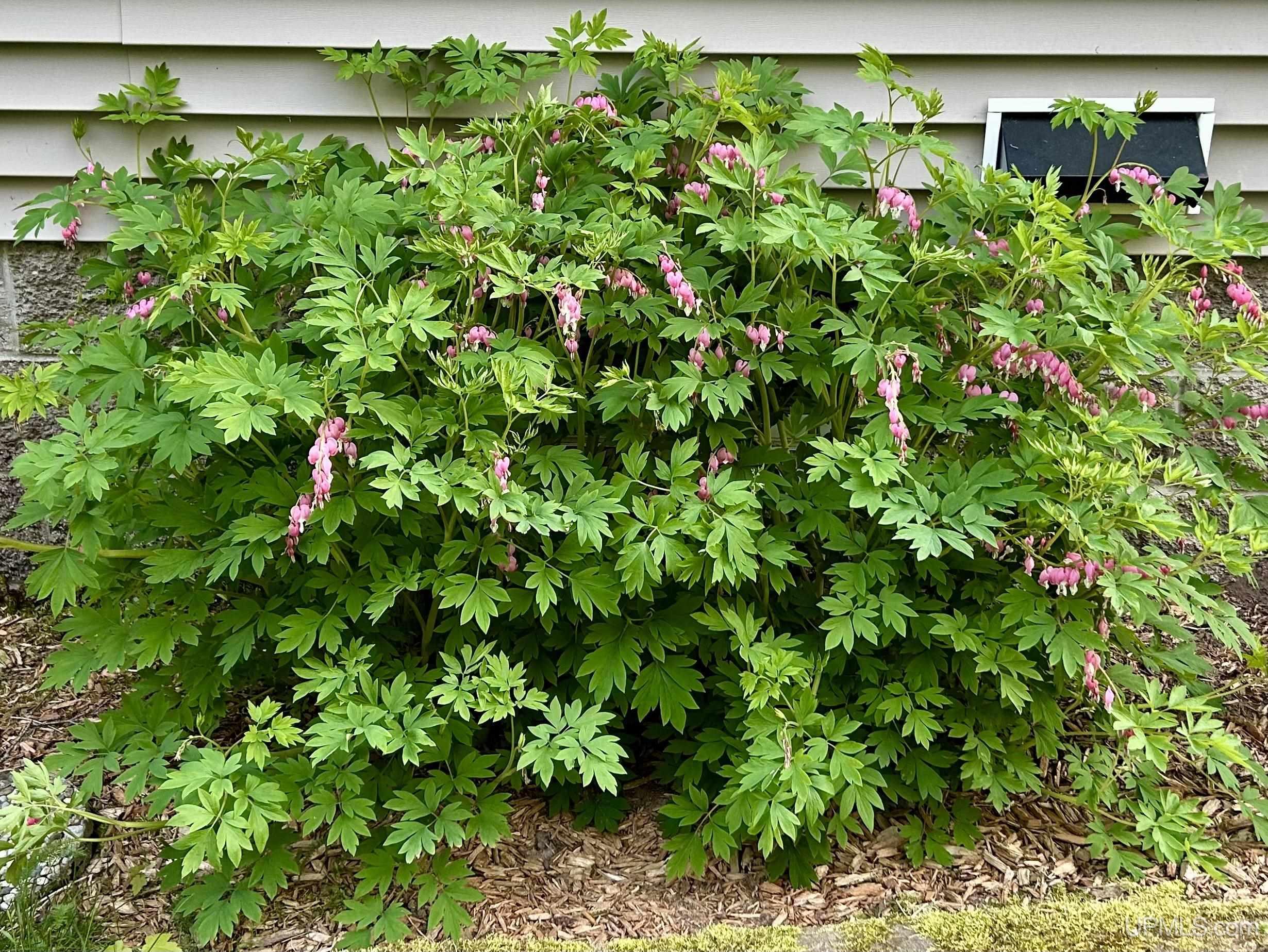main property photo 72
