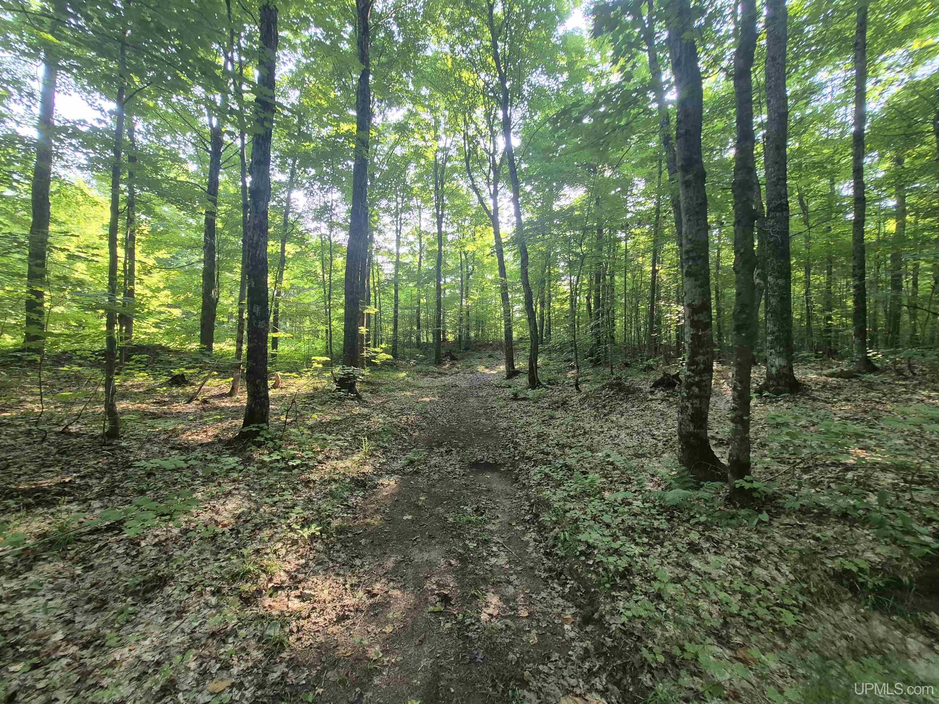 main property photo 13