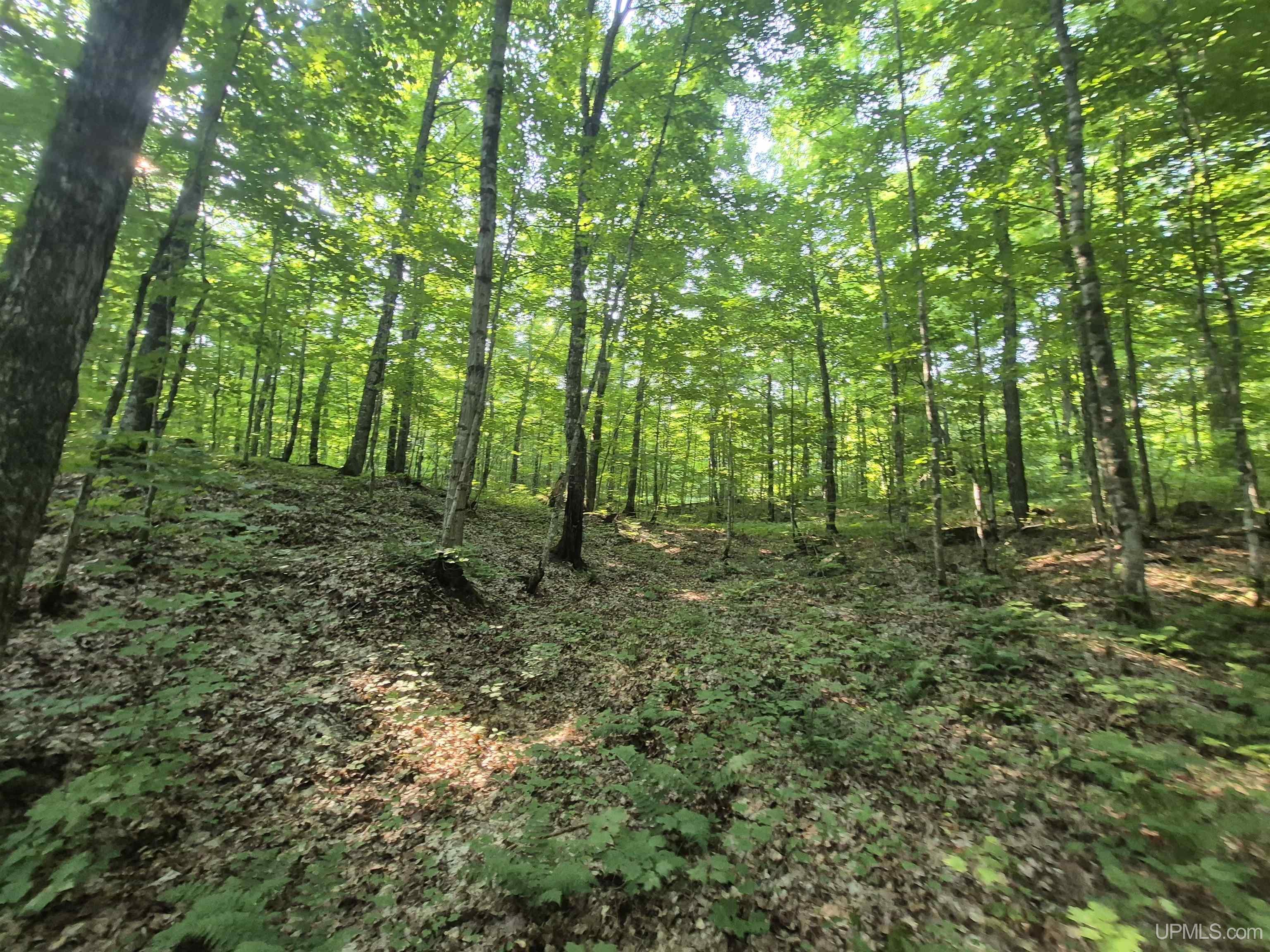 main property photo 24