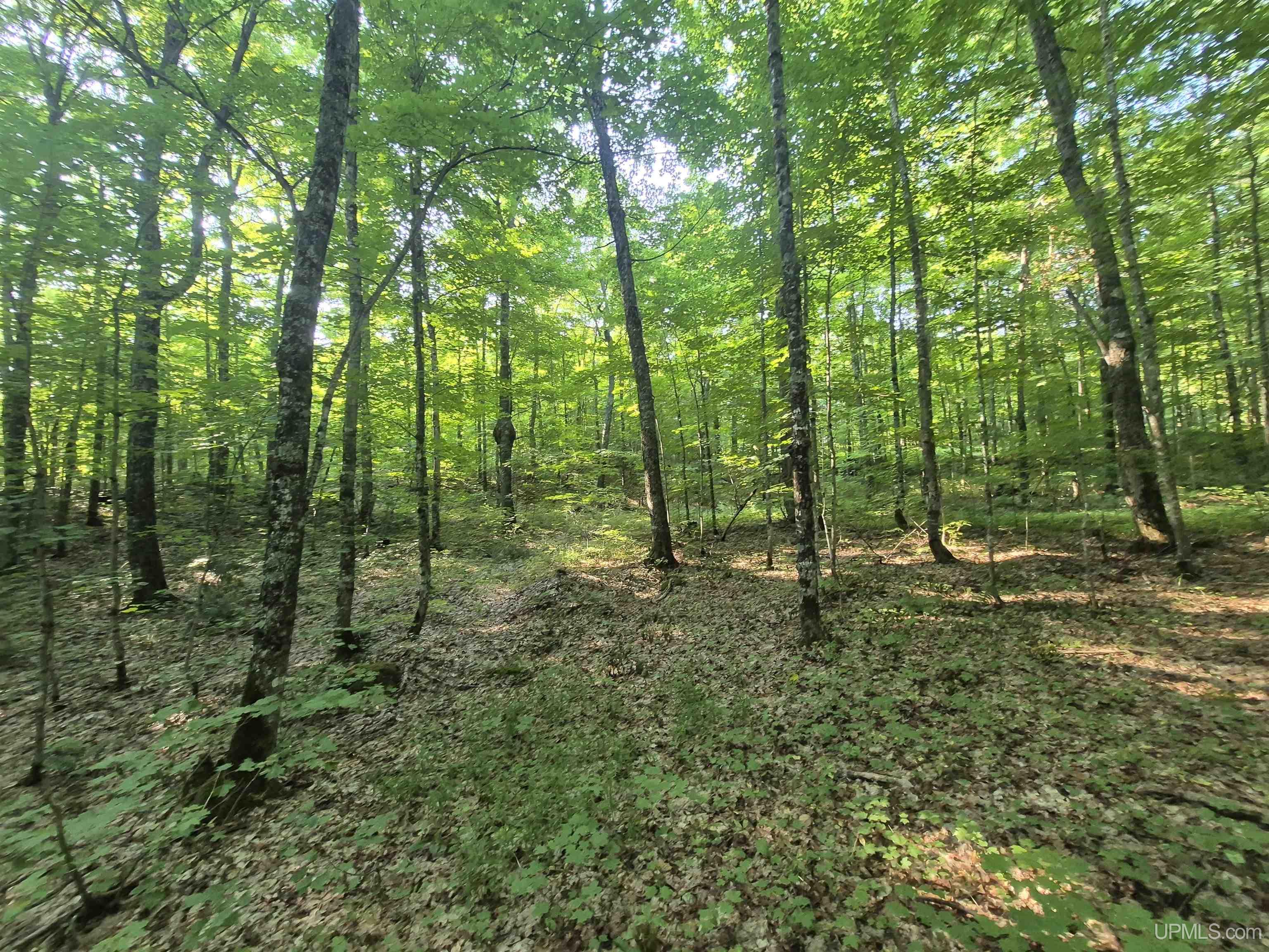 main property photo 25