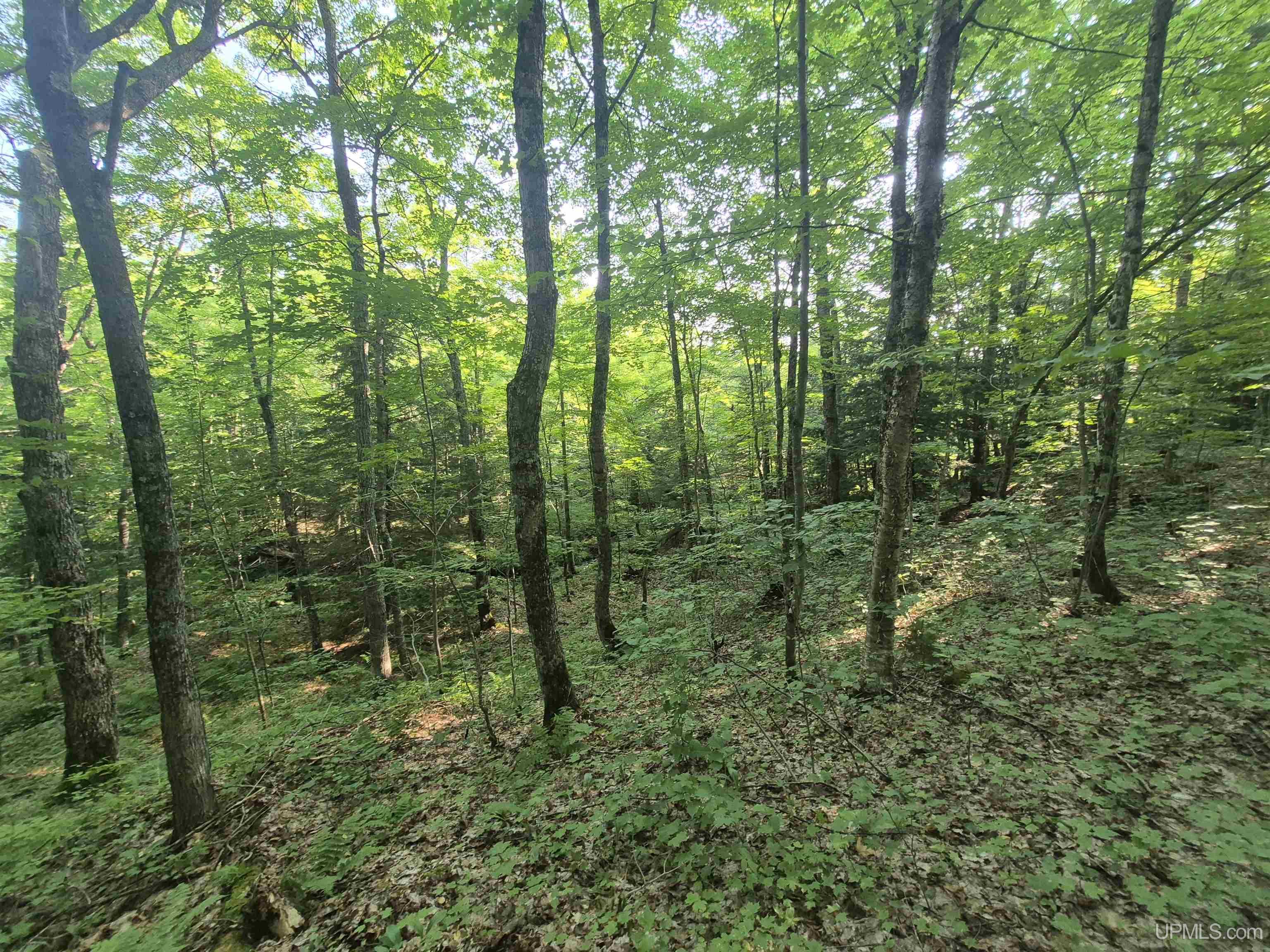 main property photo 29