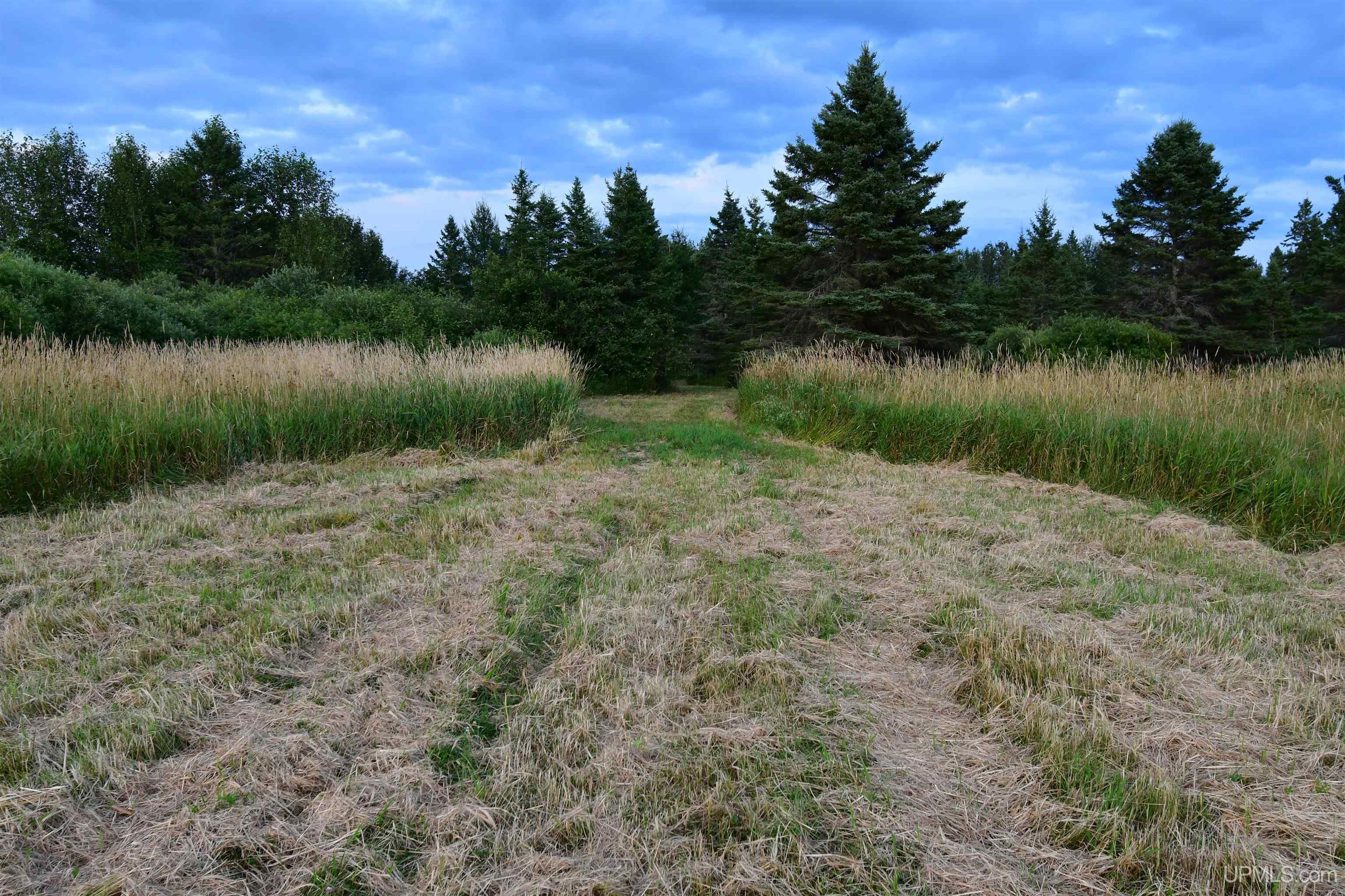 main property photo 26