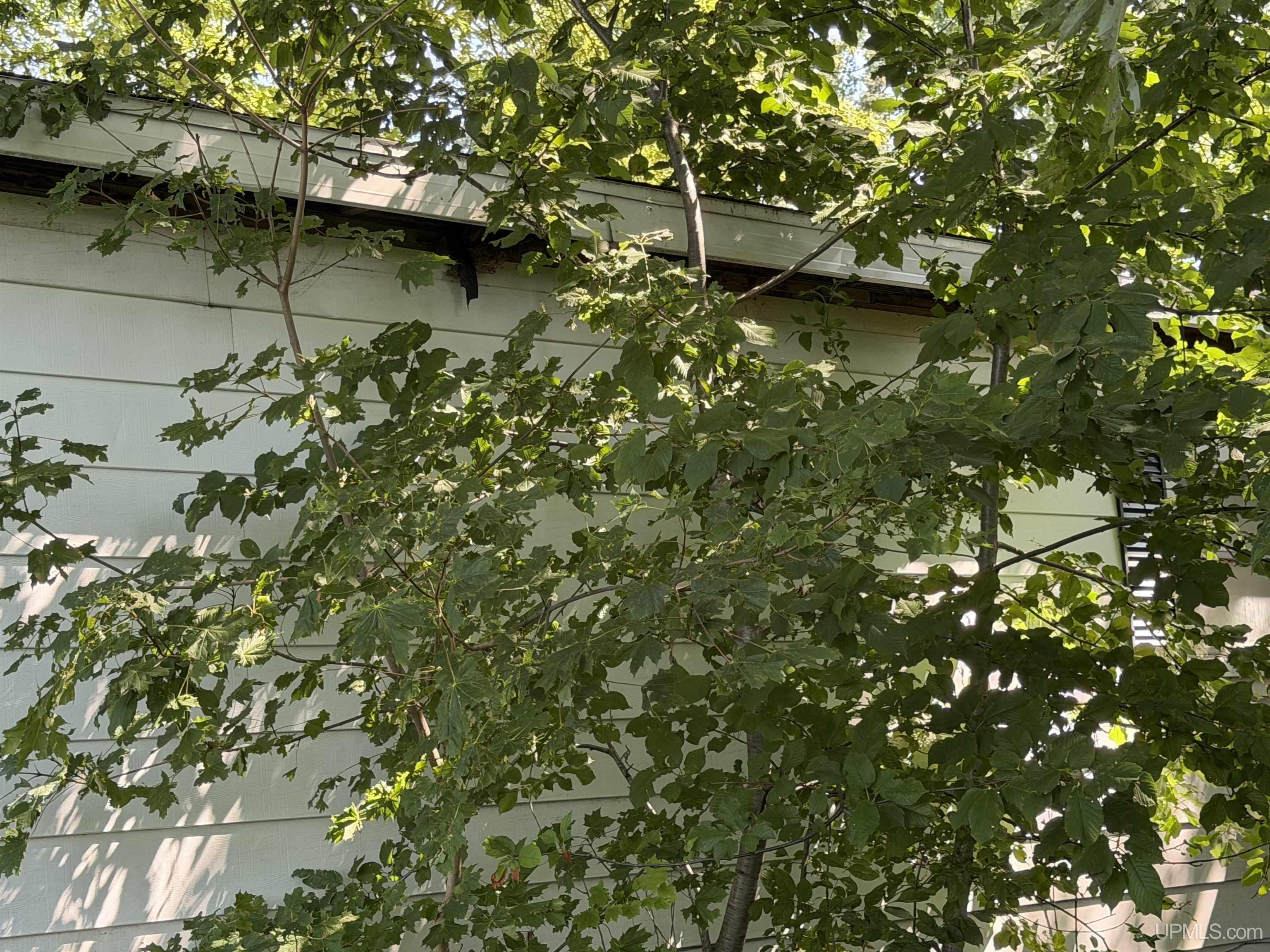 main property photo 59