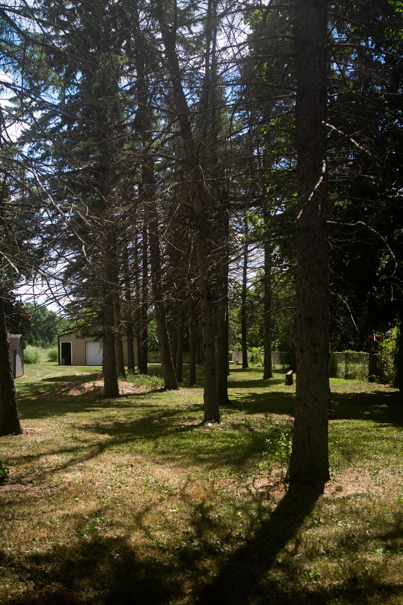 main property photo 11