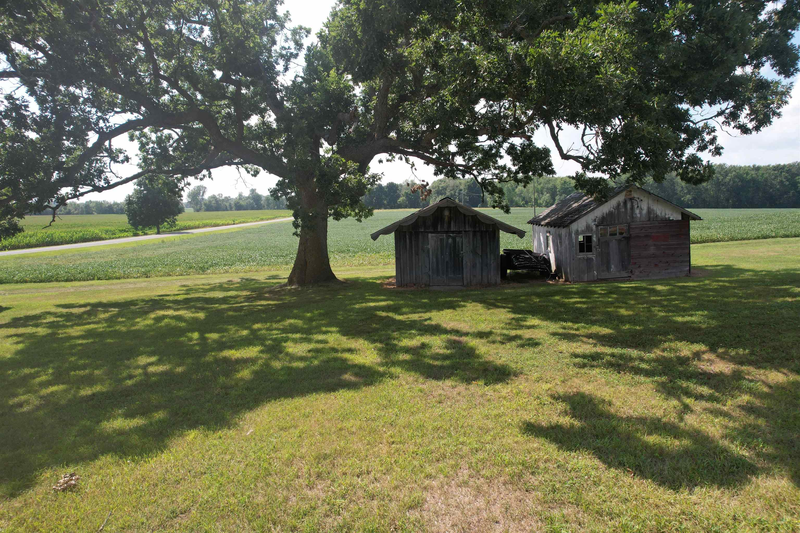 main property photo 39