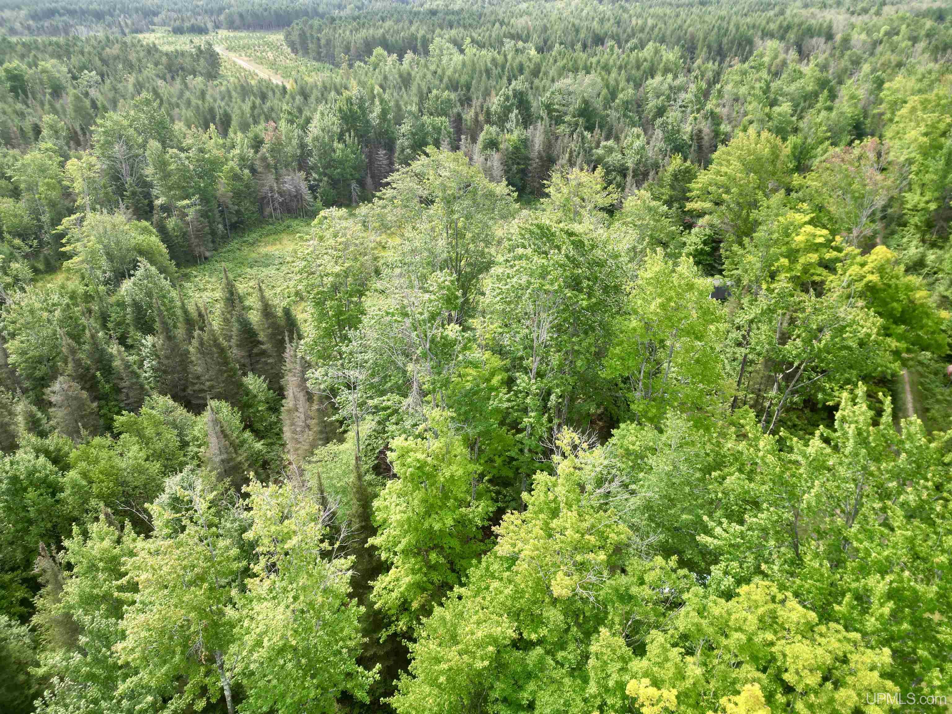 main property photo 55