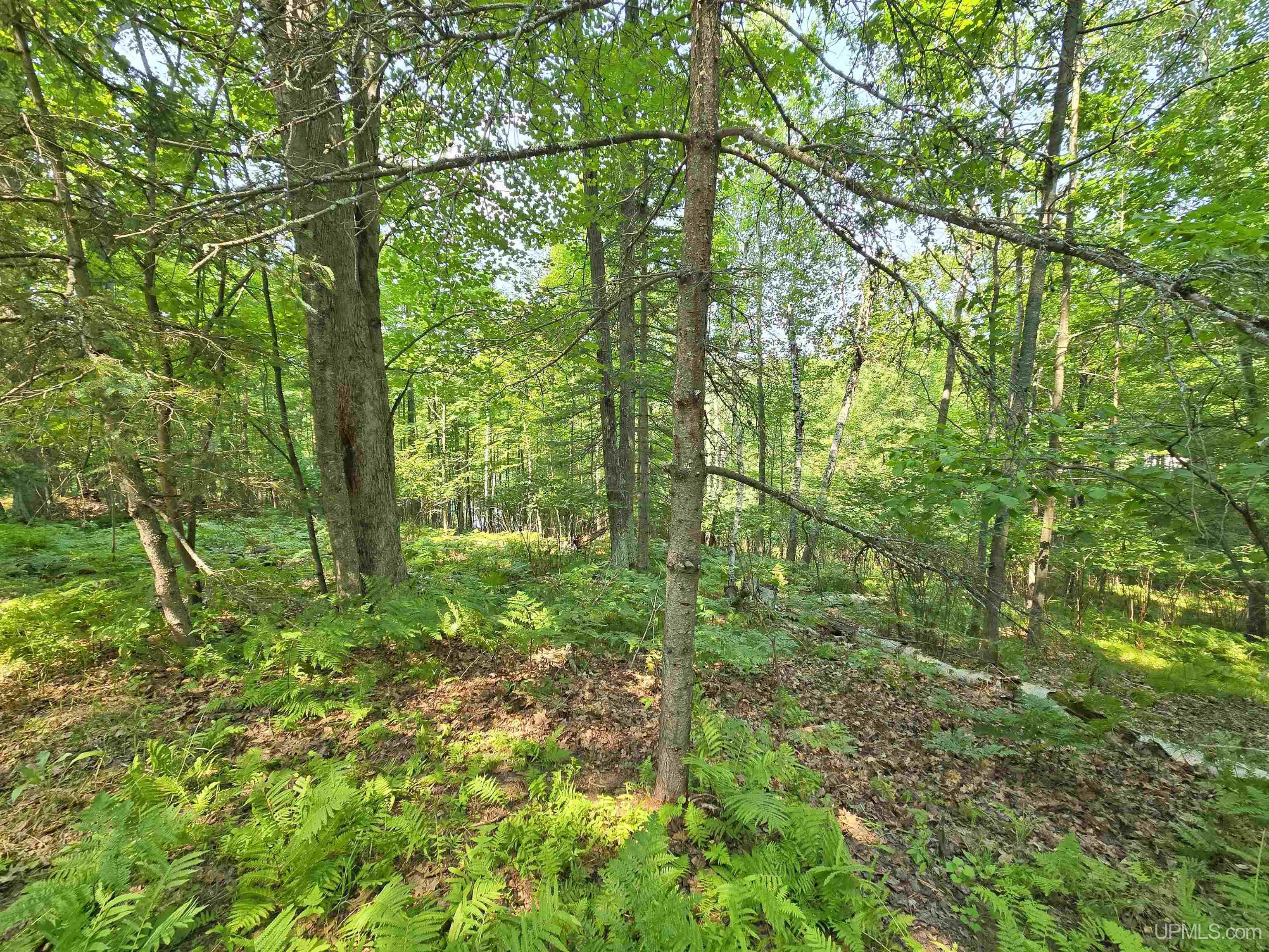 main property photo 49
