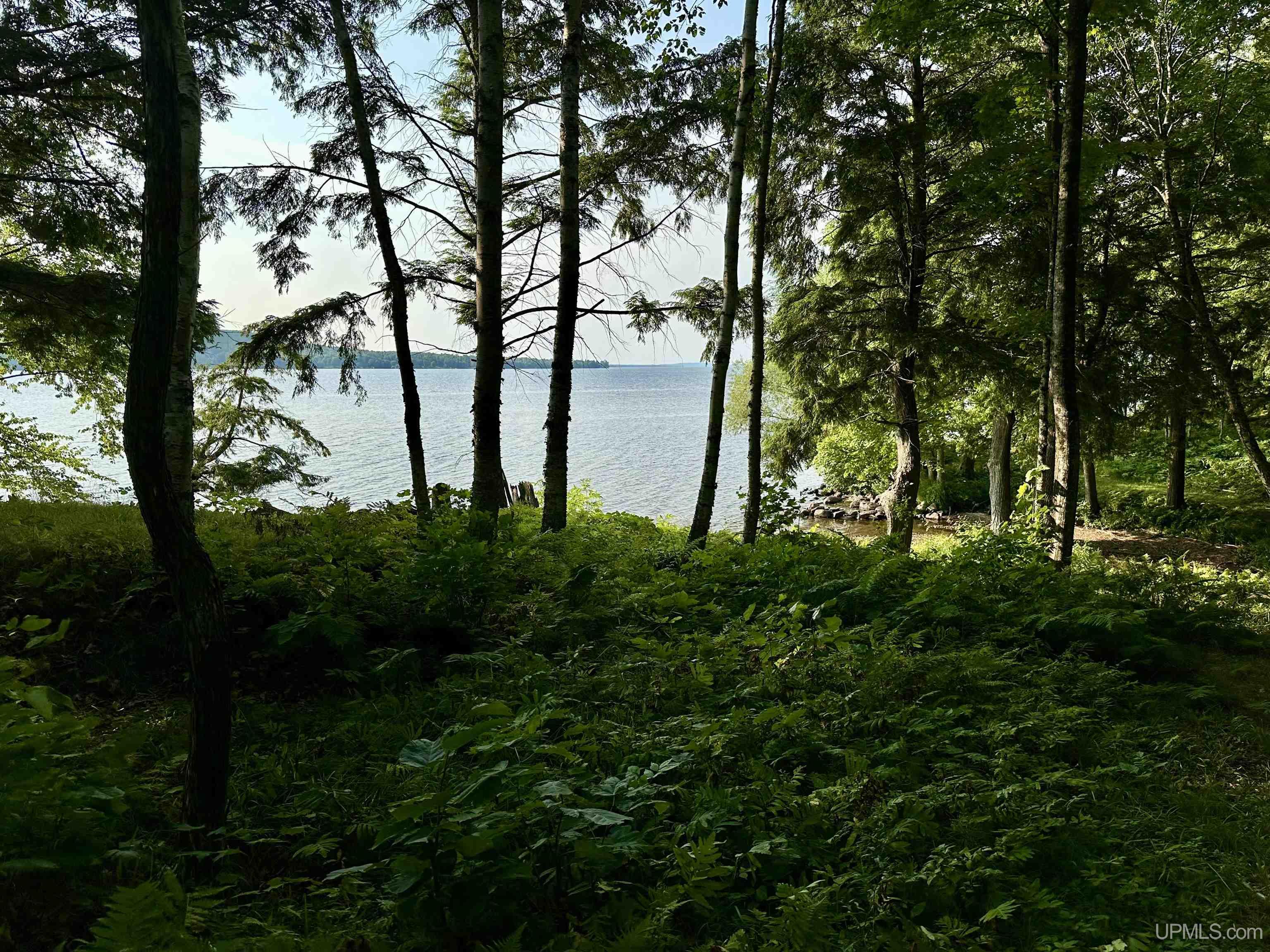 main property photo 78