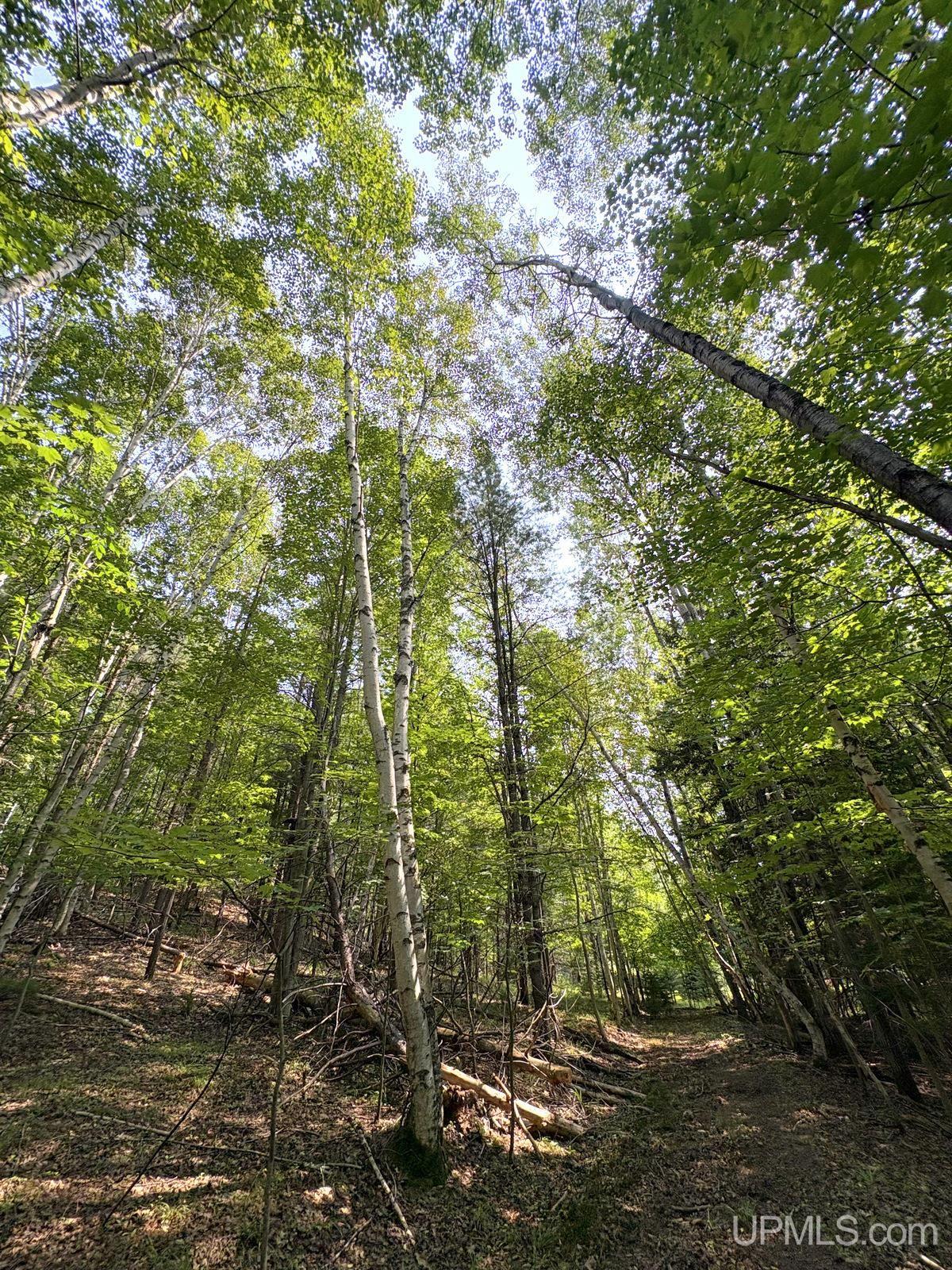 main property photo 13