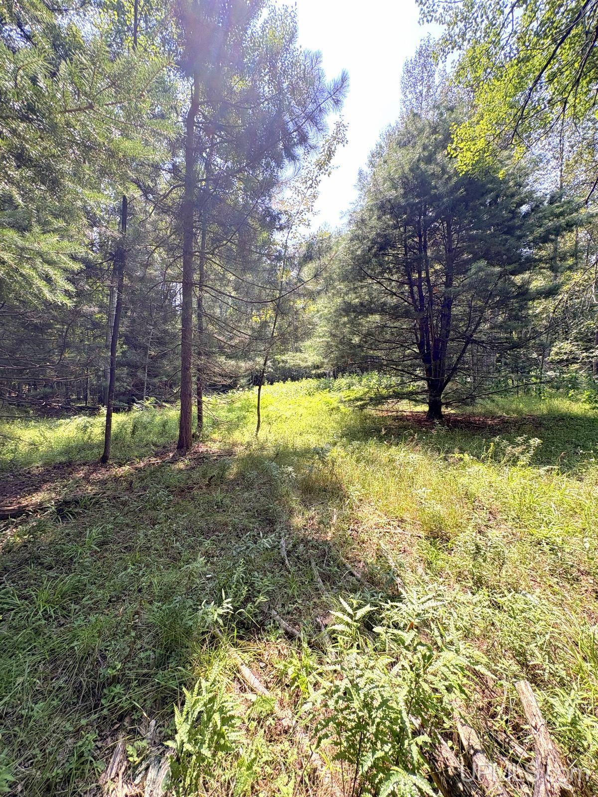 main property photo 15