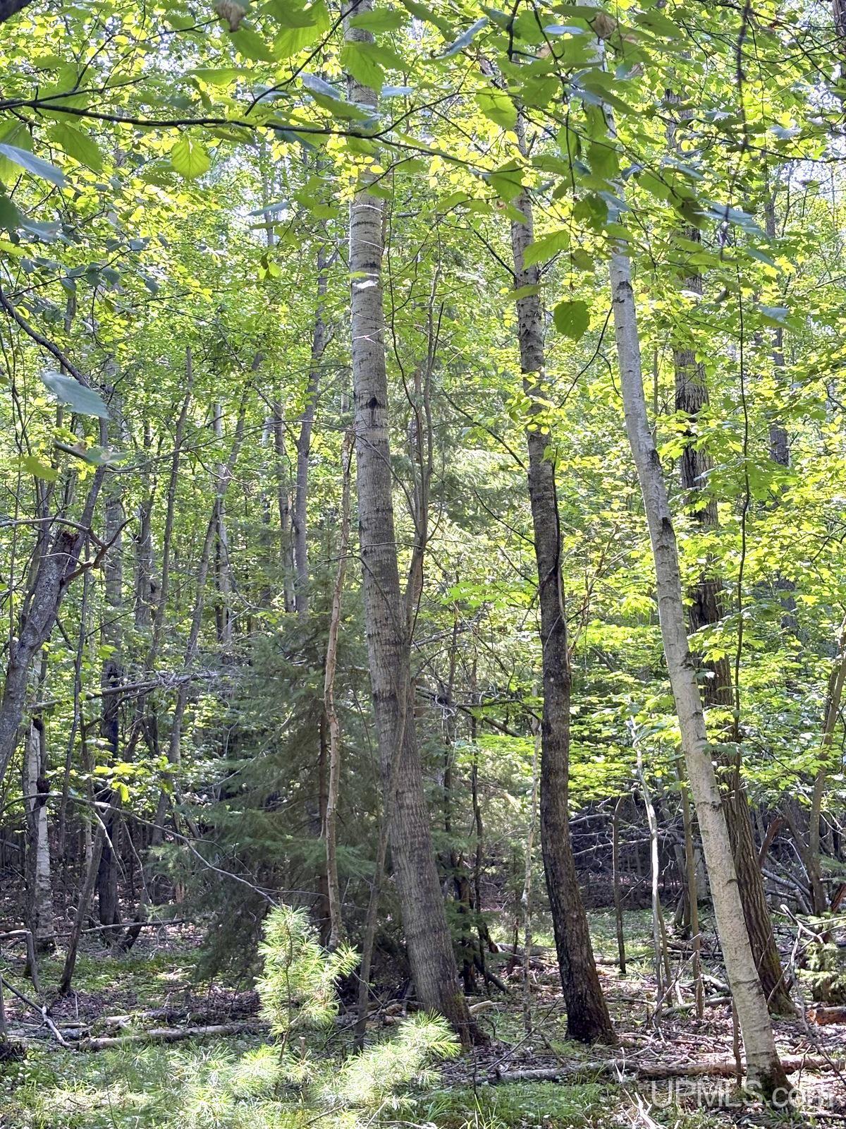 main property photo 27