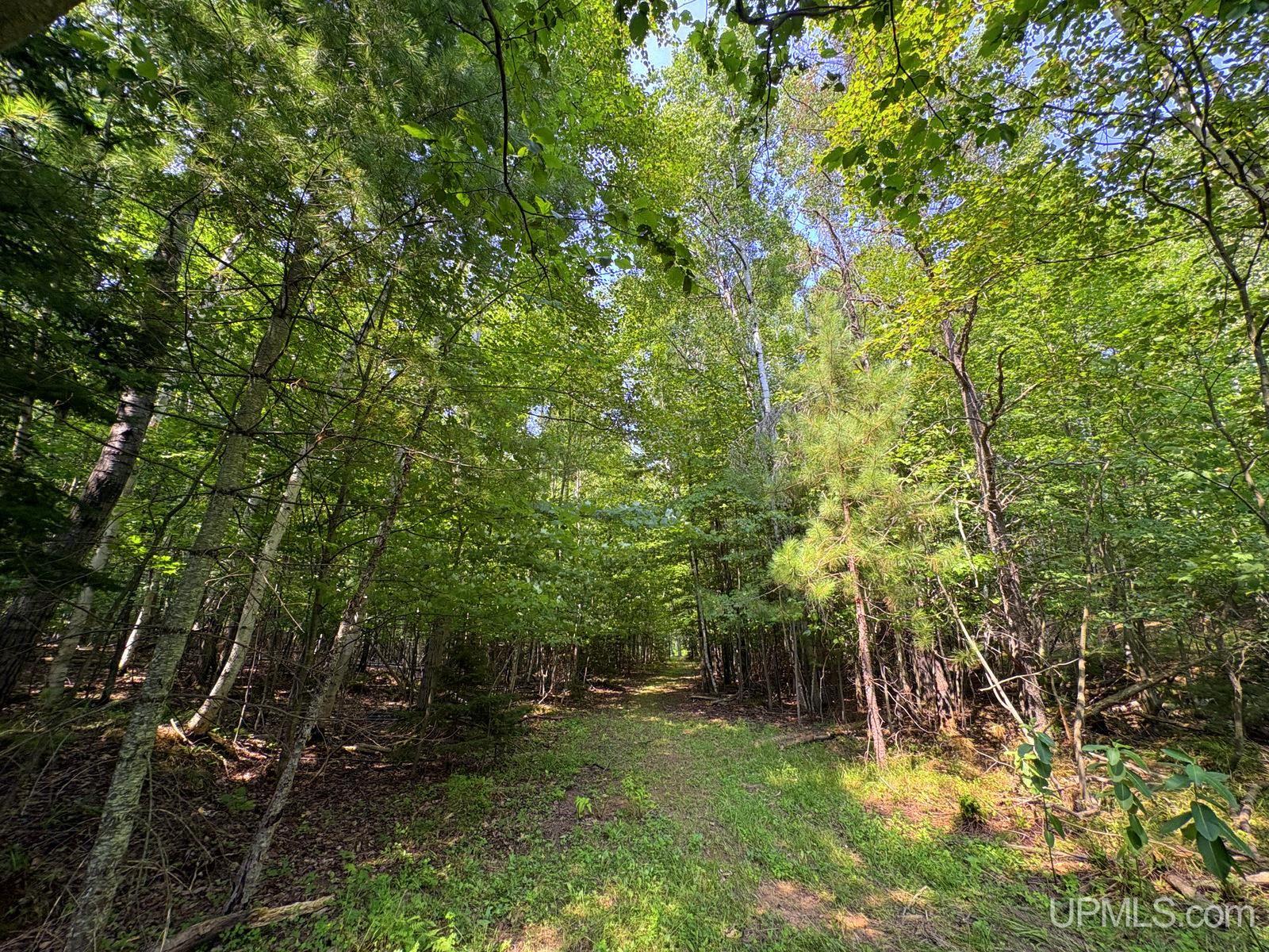 main property photo 40