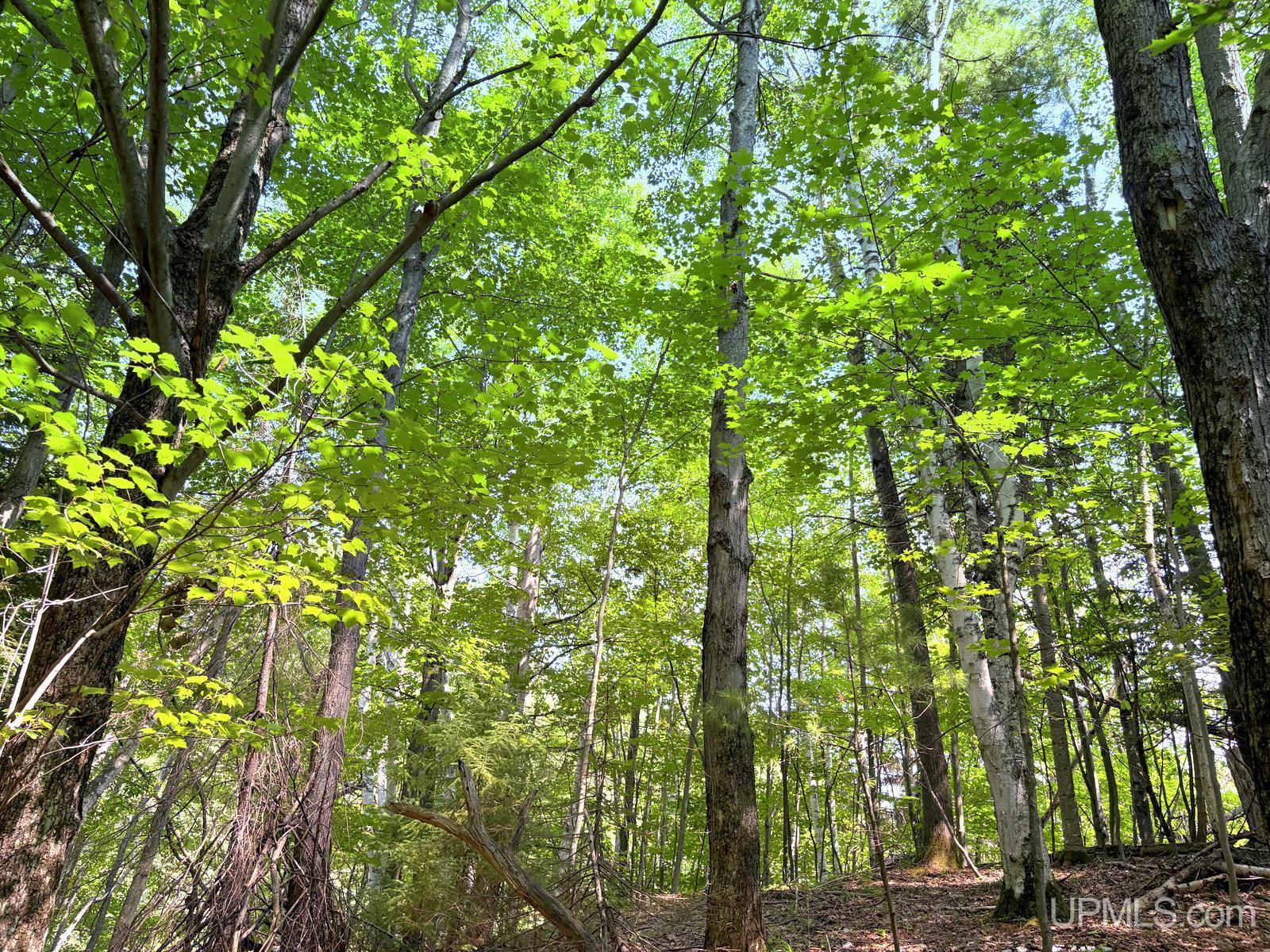 main property photo 63