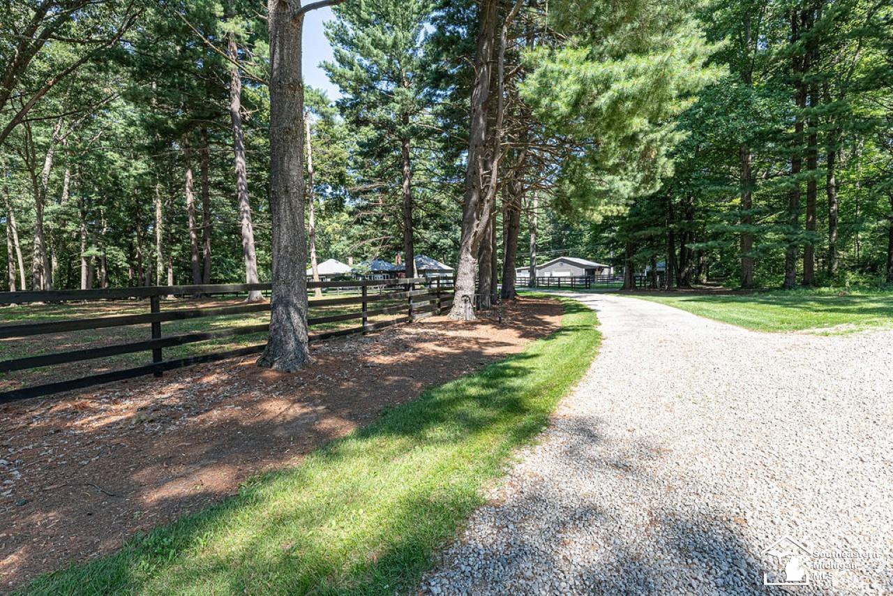 main property photo 58