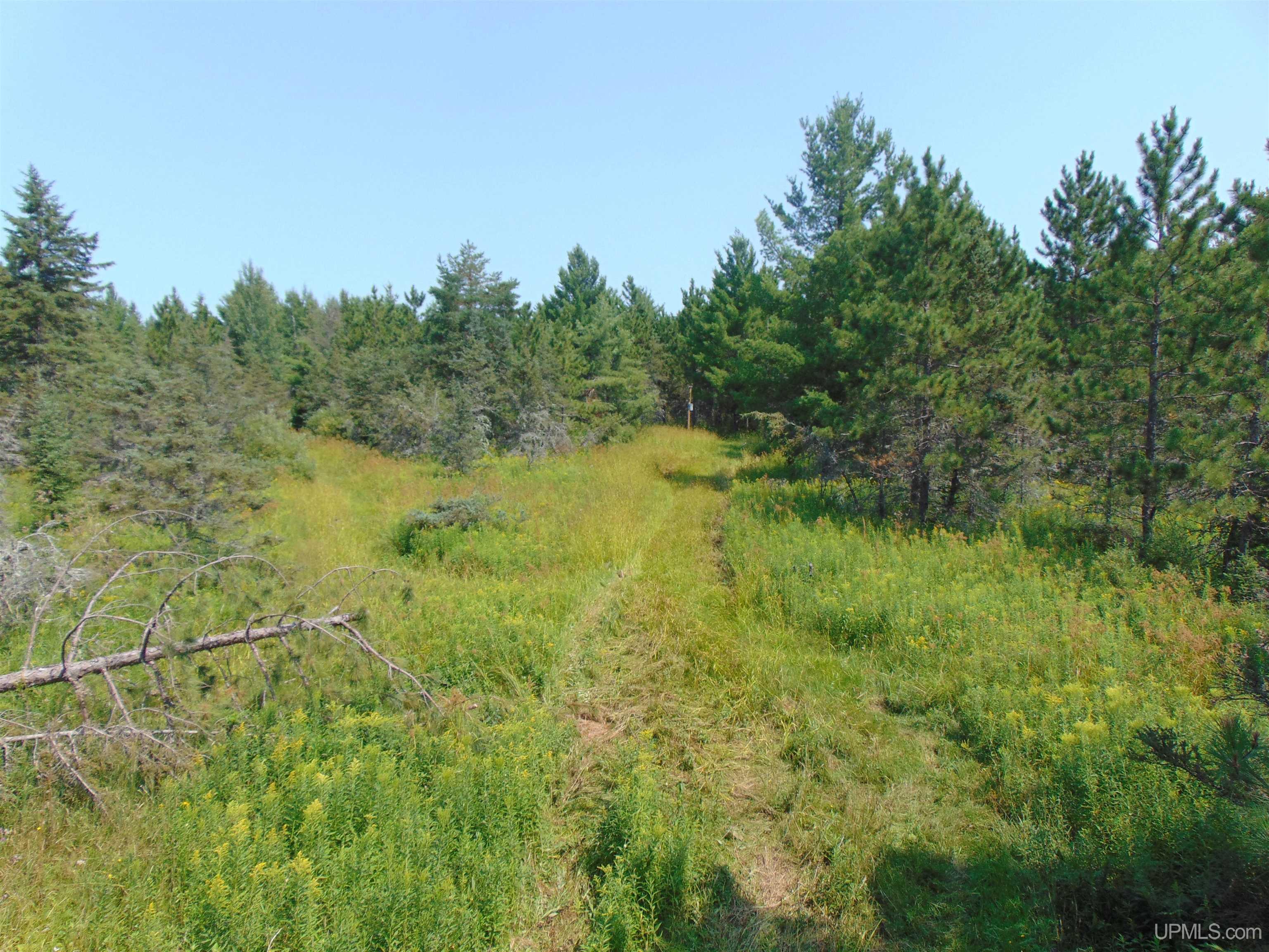 main property photo 13