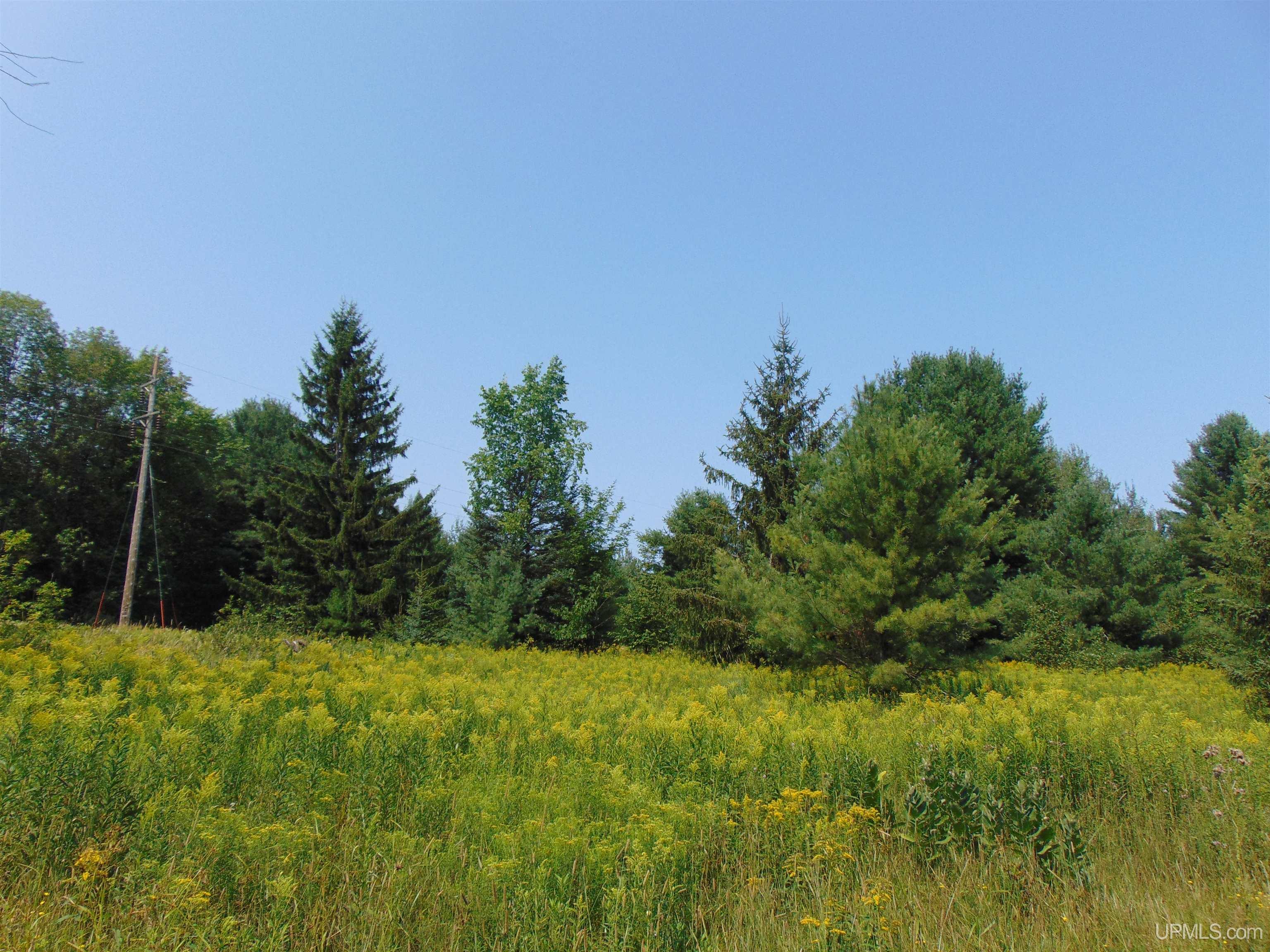 main property photo 43