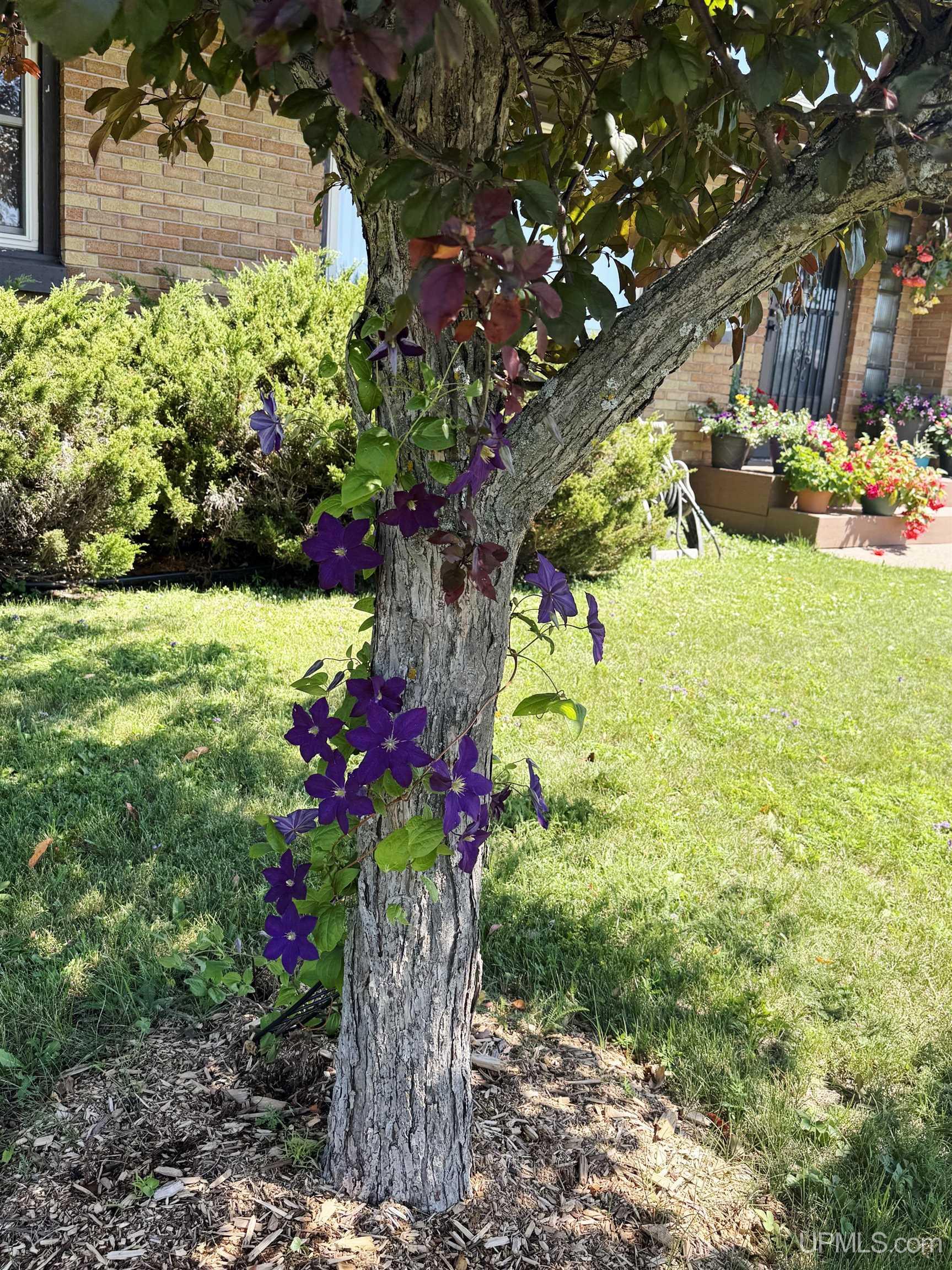 main property photo 41