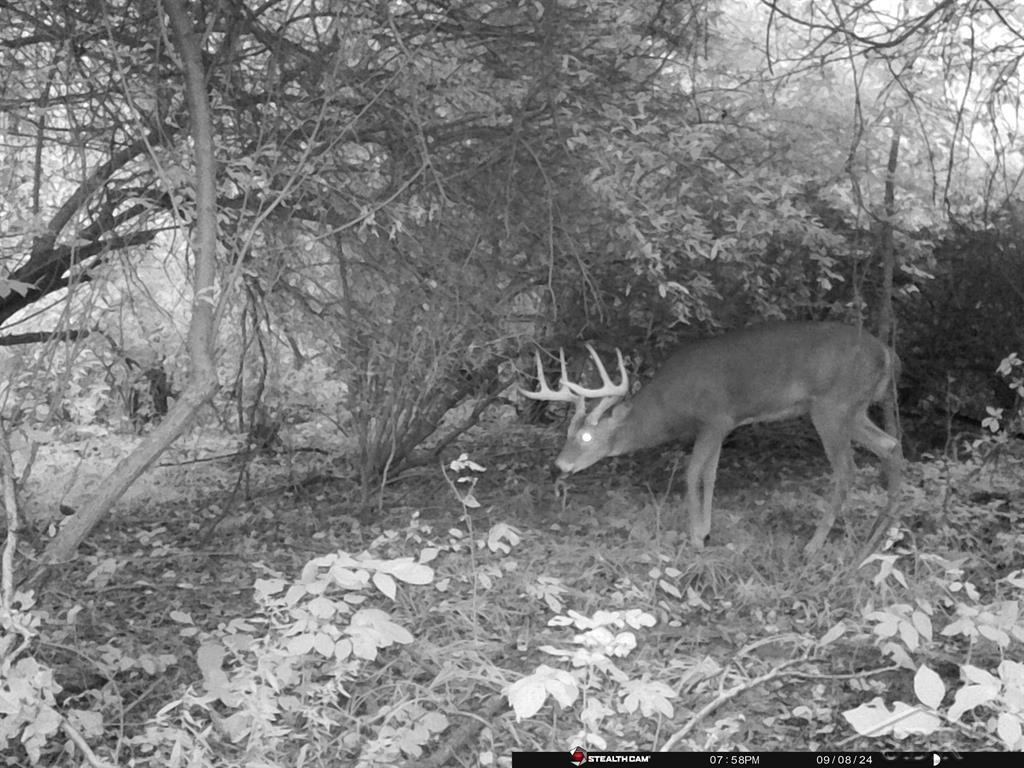 main property photo 64