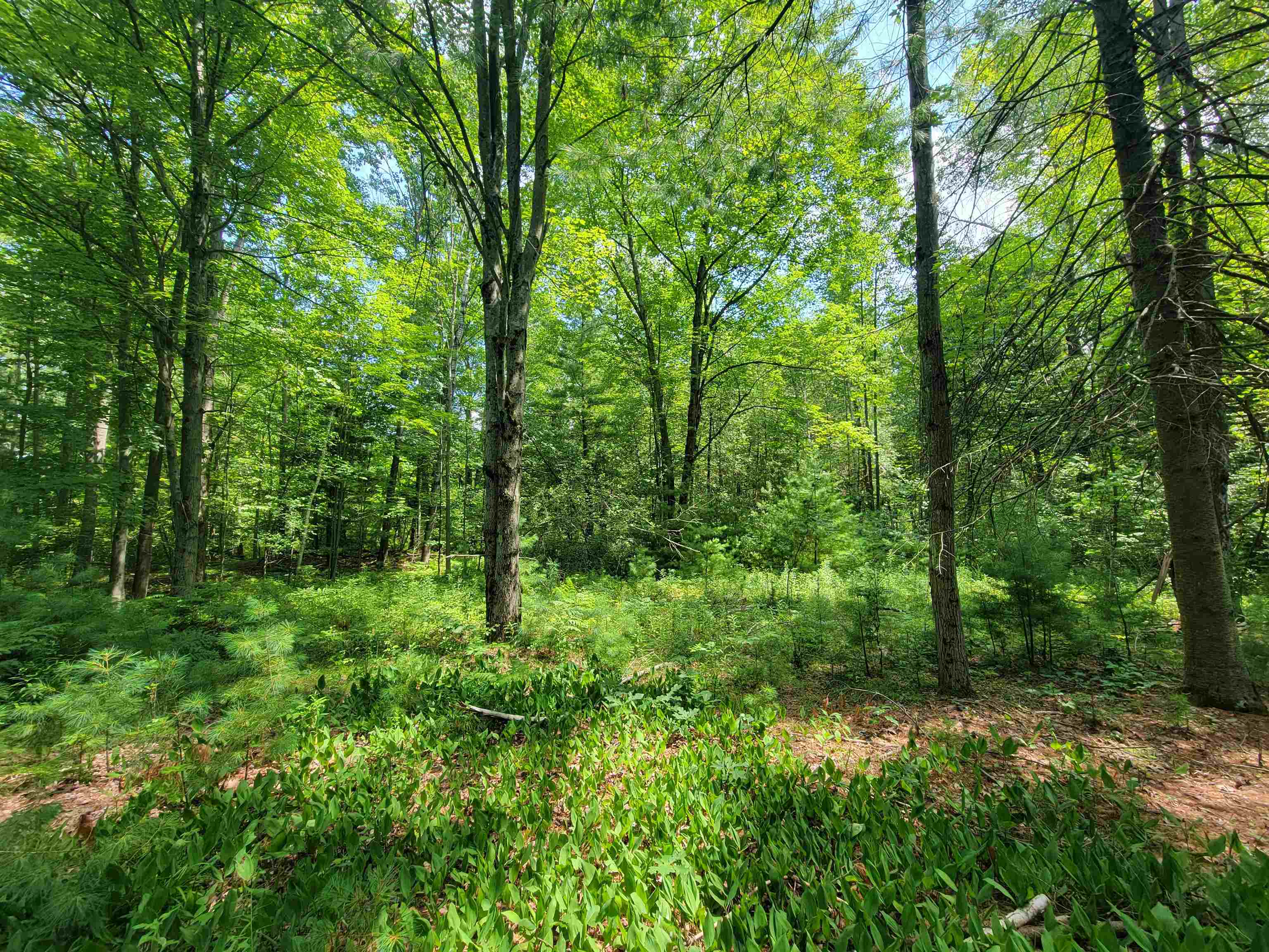 main property photo 0
