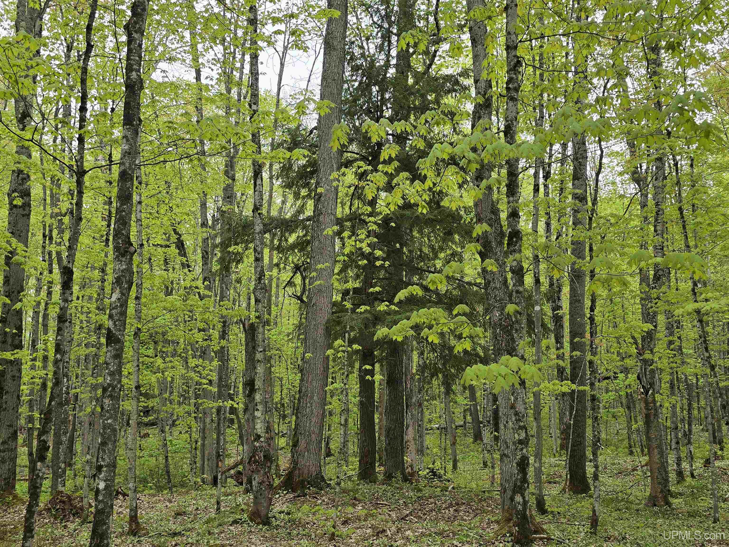 main property photo 16