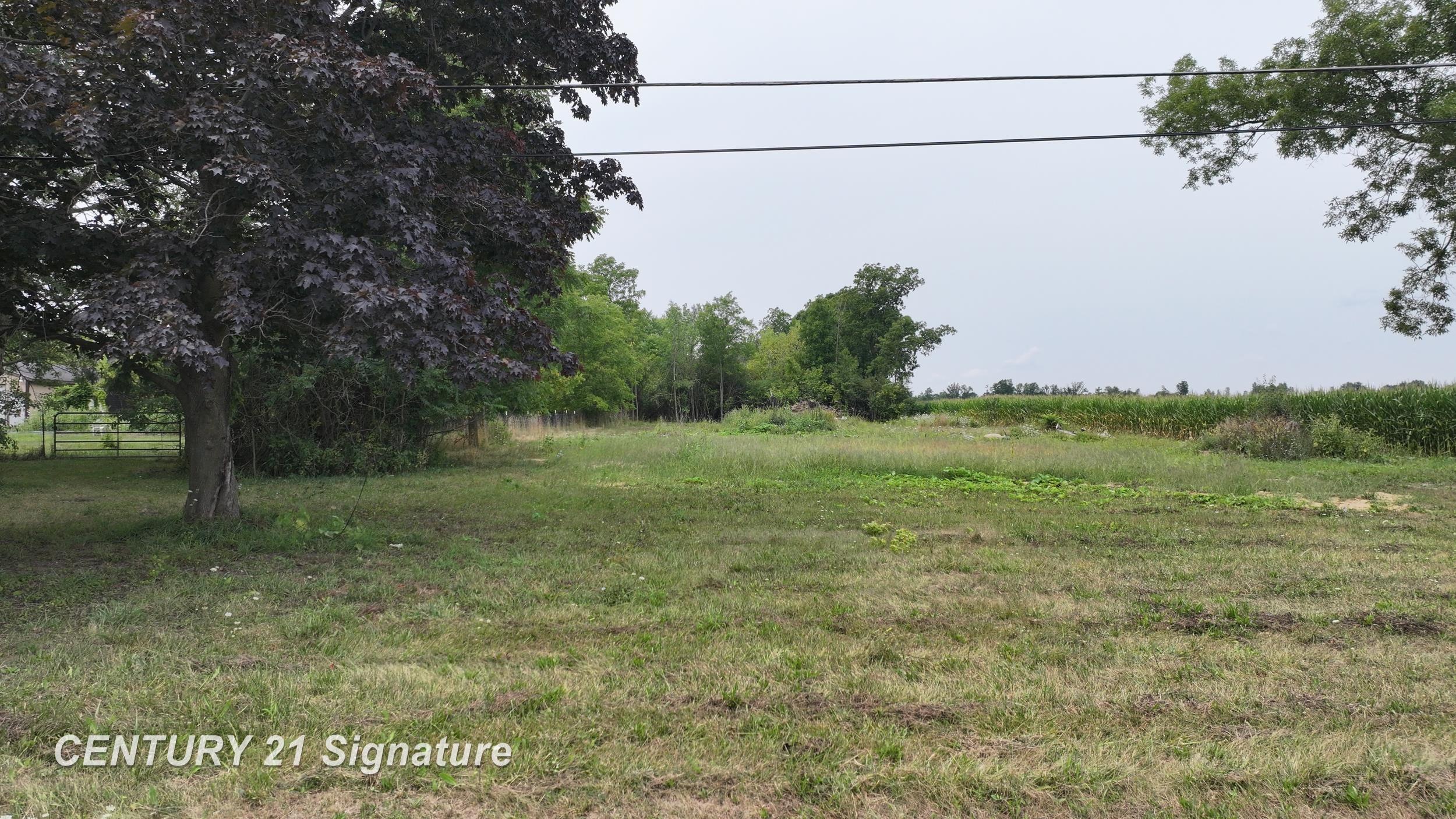 main property photo 17