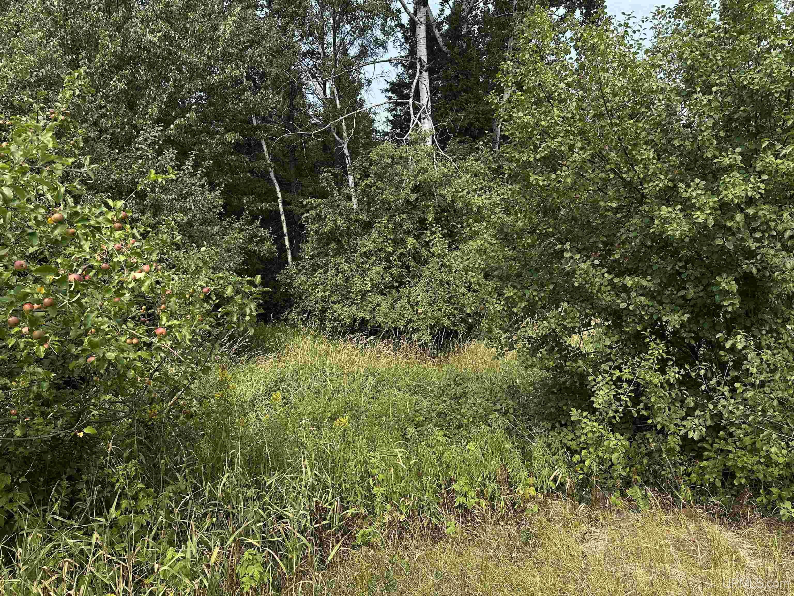 main property photo 50