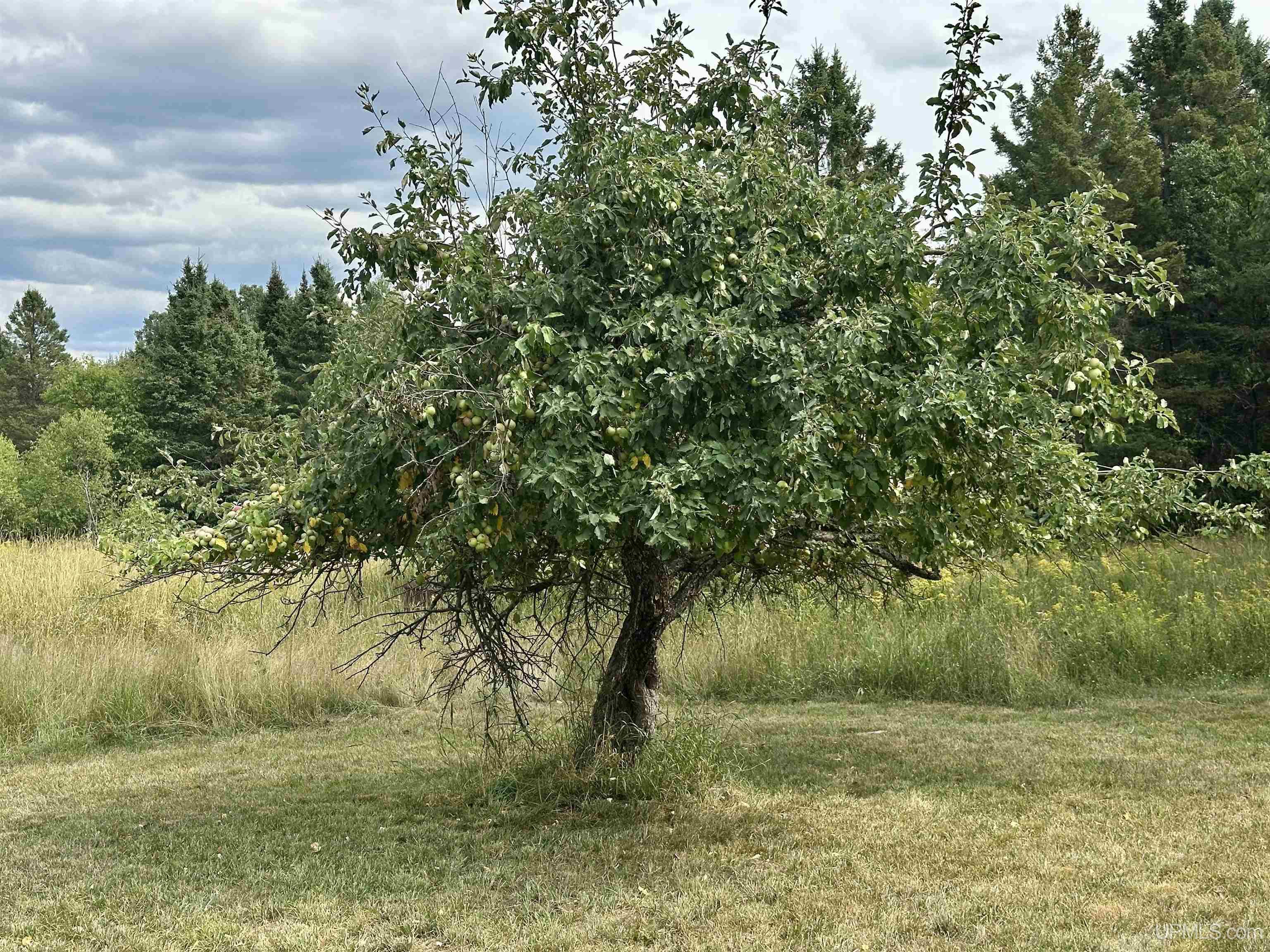 main property photo 56