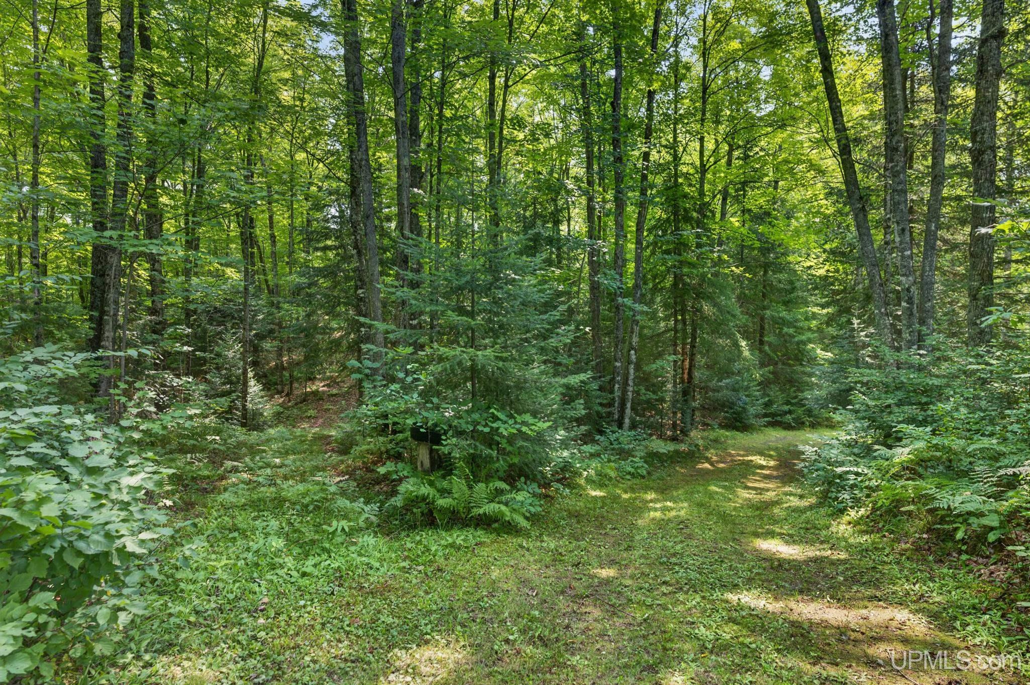 main property photo 35