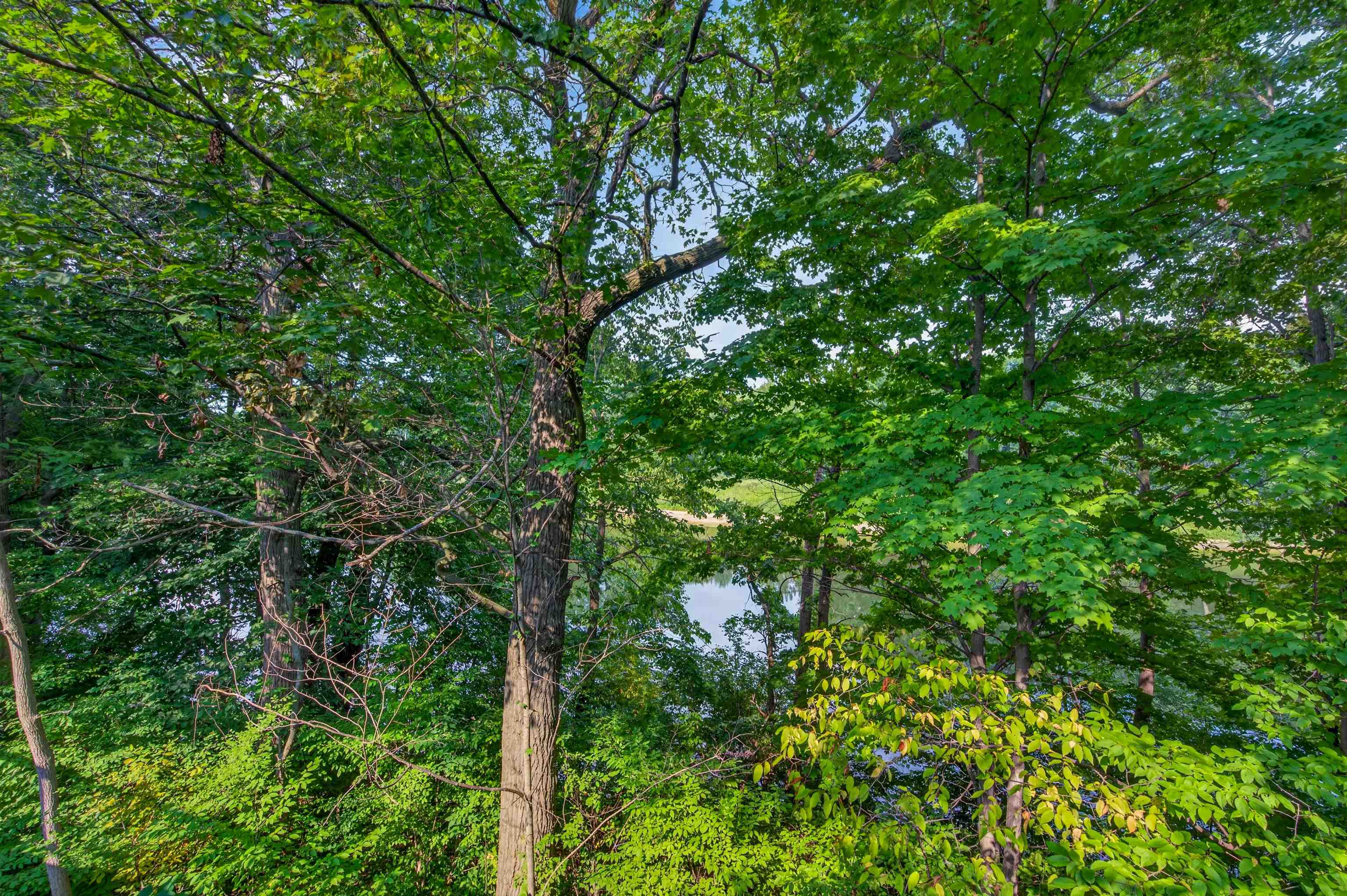 main property photo 64