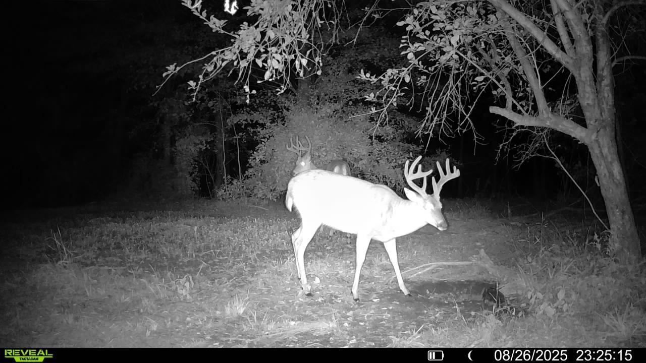 main property photo 11