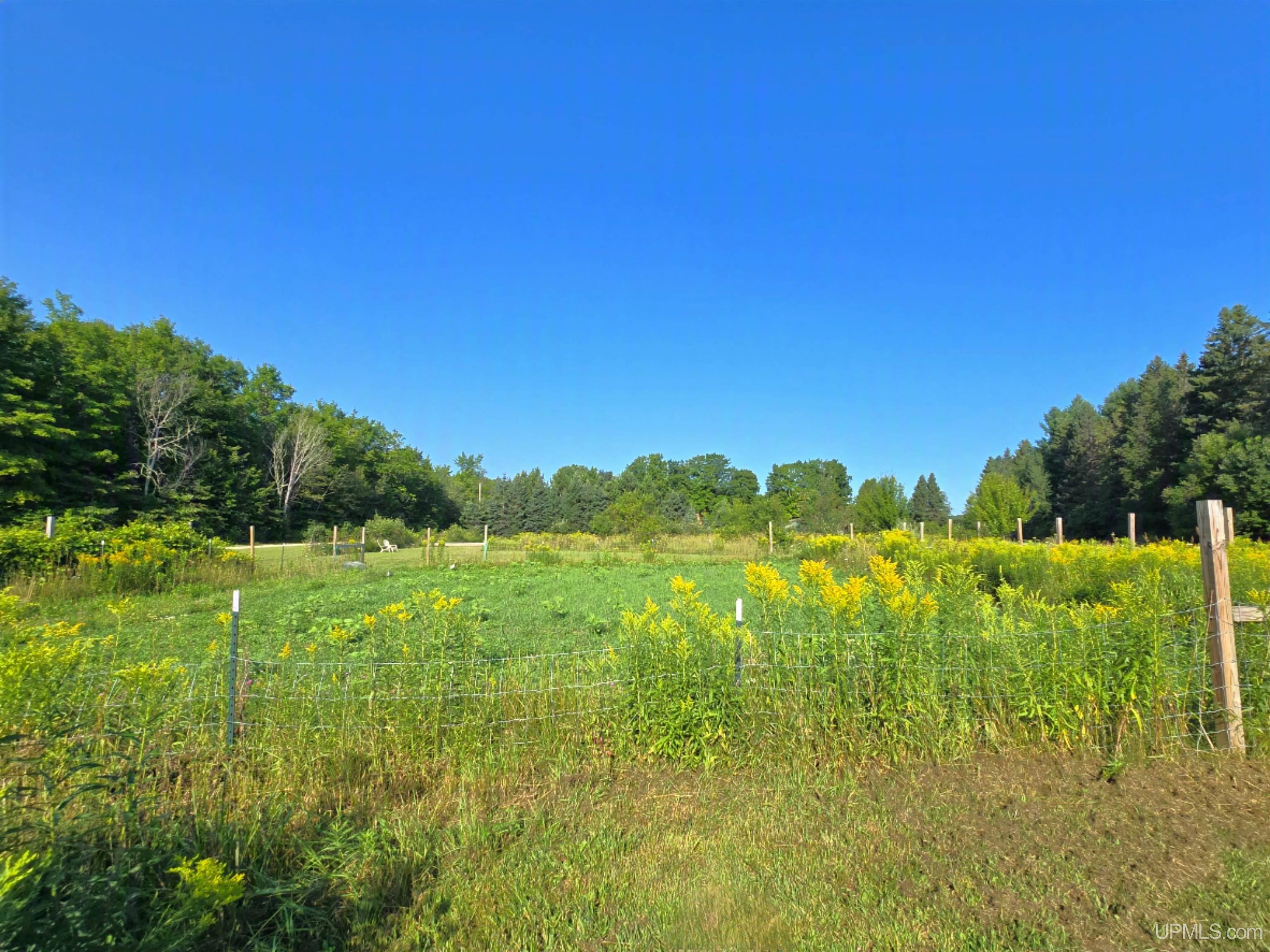 main property photo 58