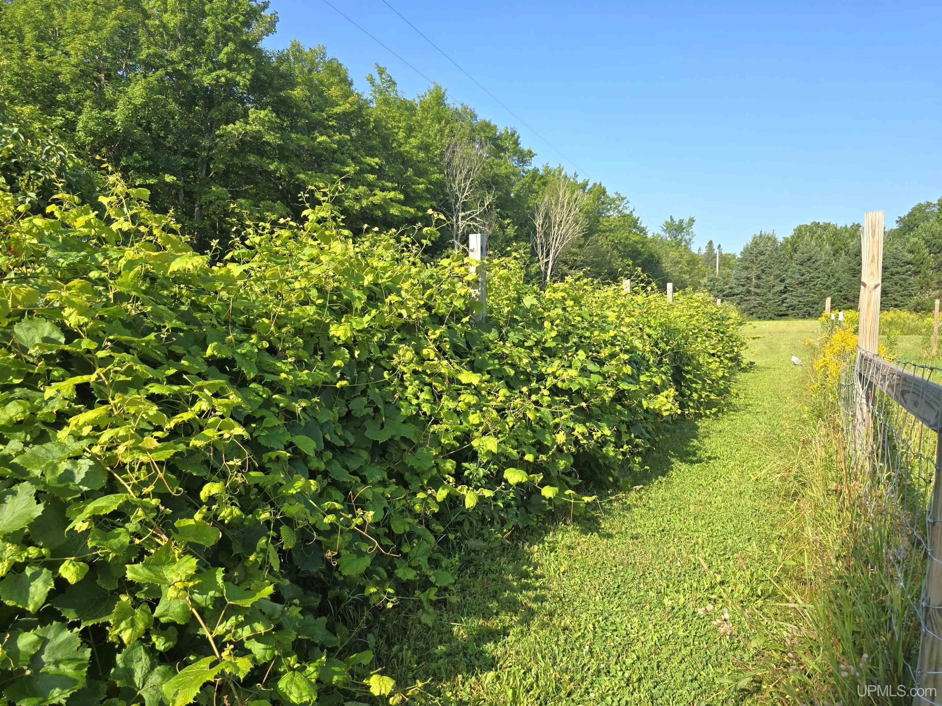 main property photo 60