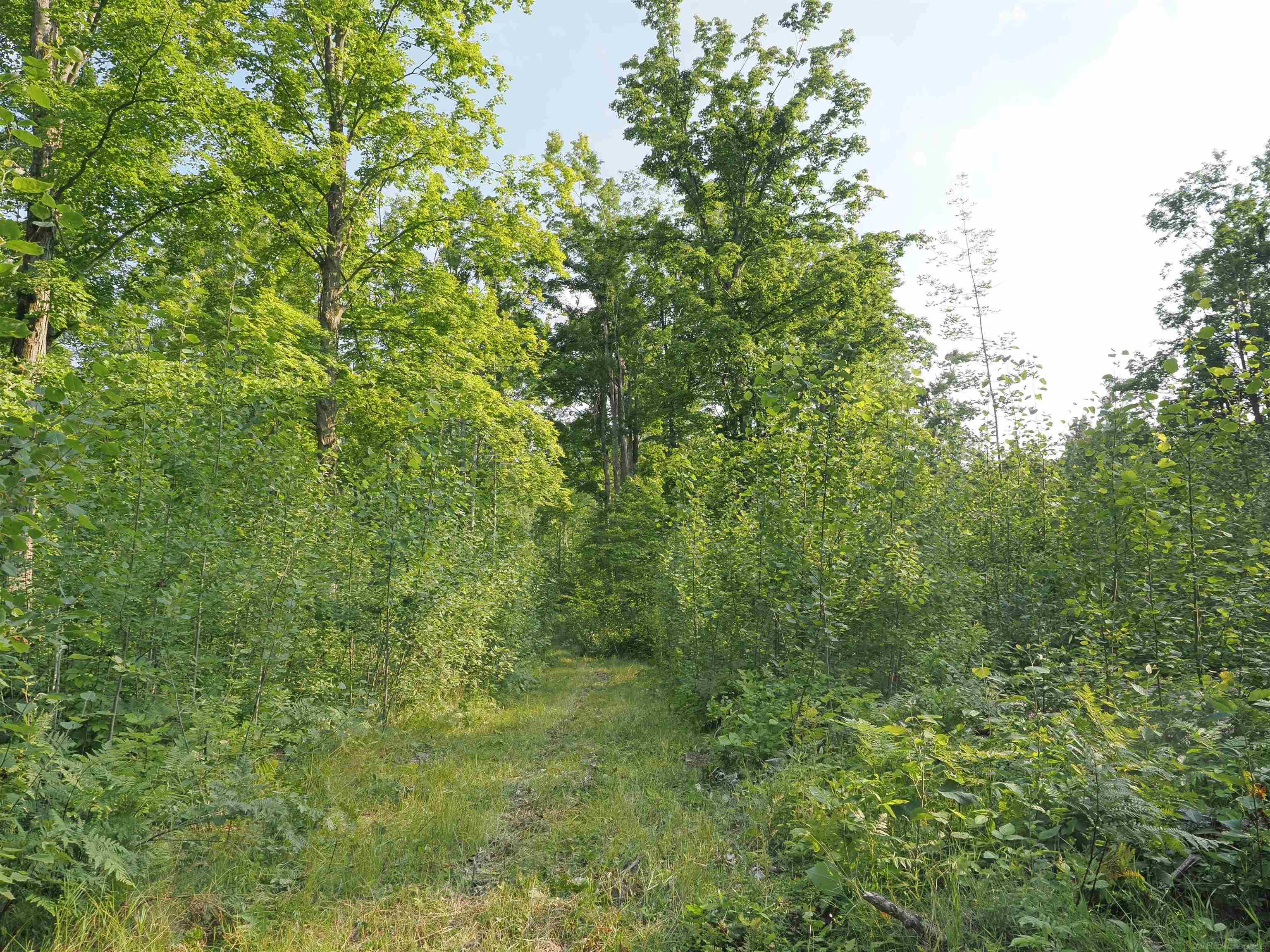 main property photo 45