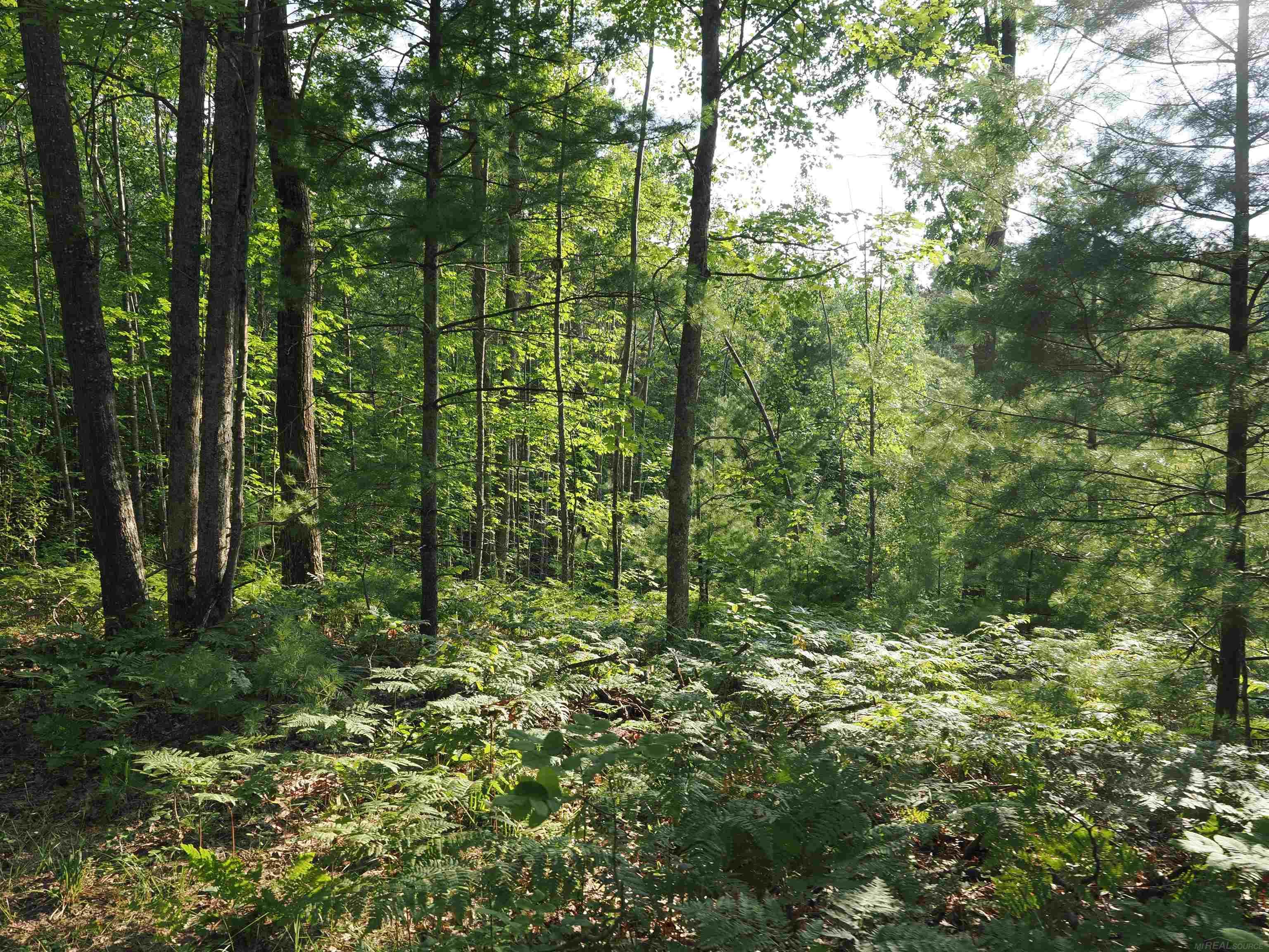 main property photo 50