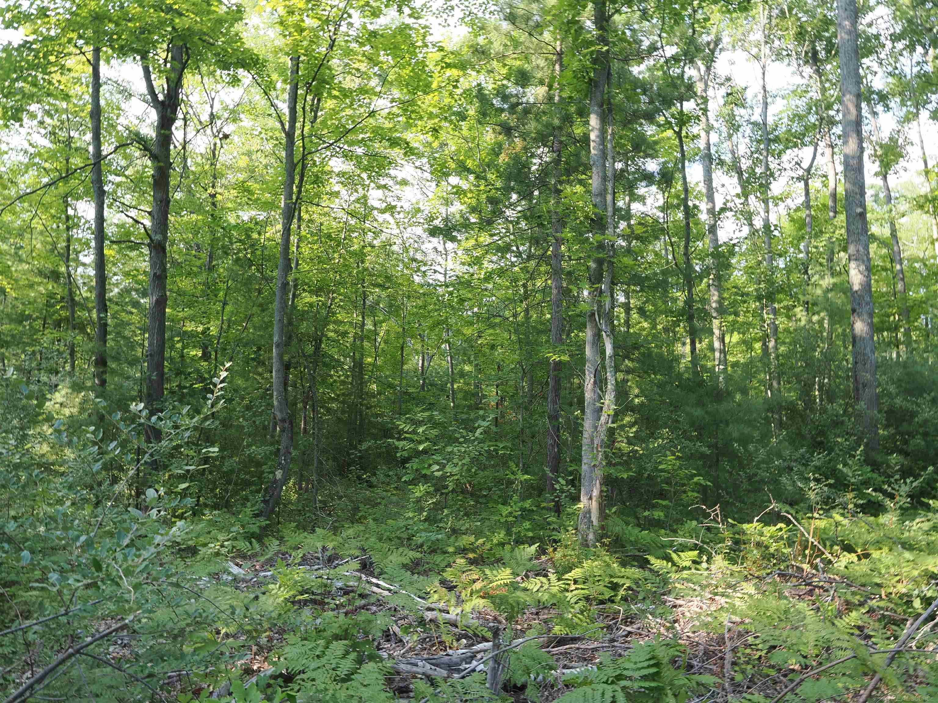 main property photo 61