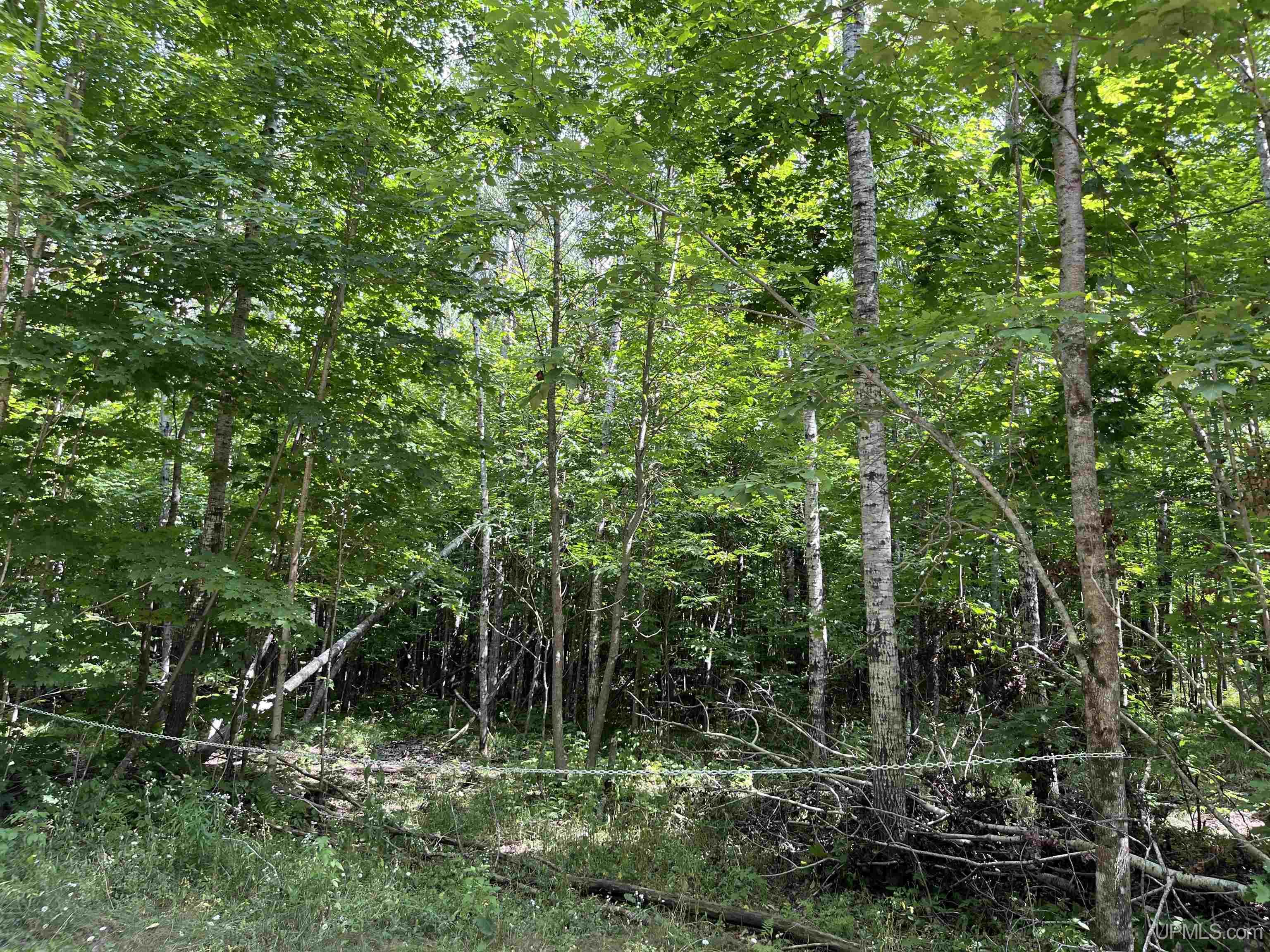 main property photo 0