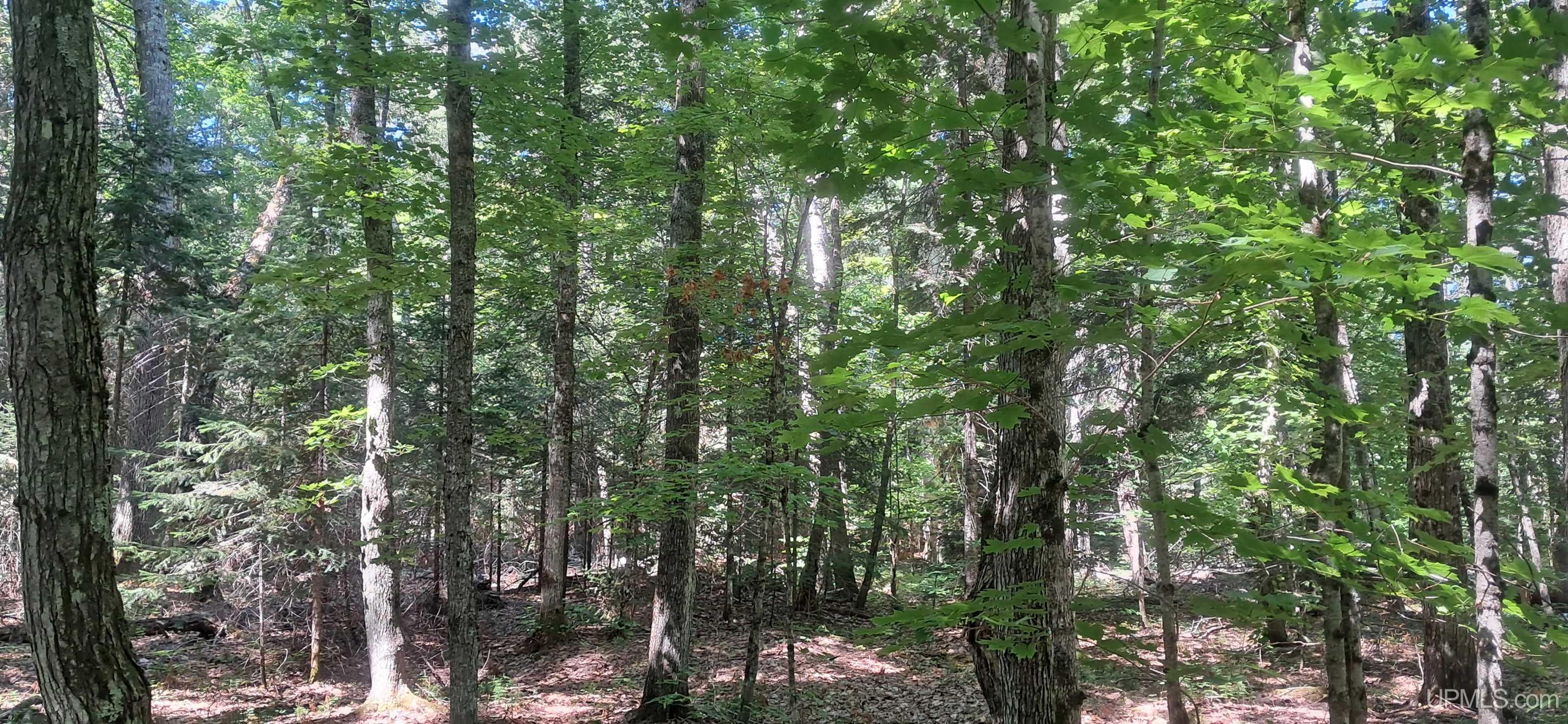 main property photo 11