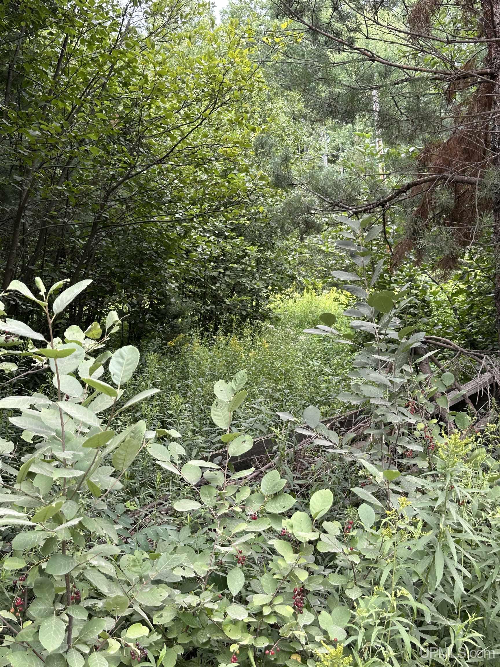main property photo 0