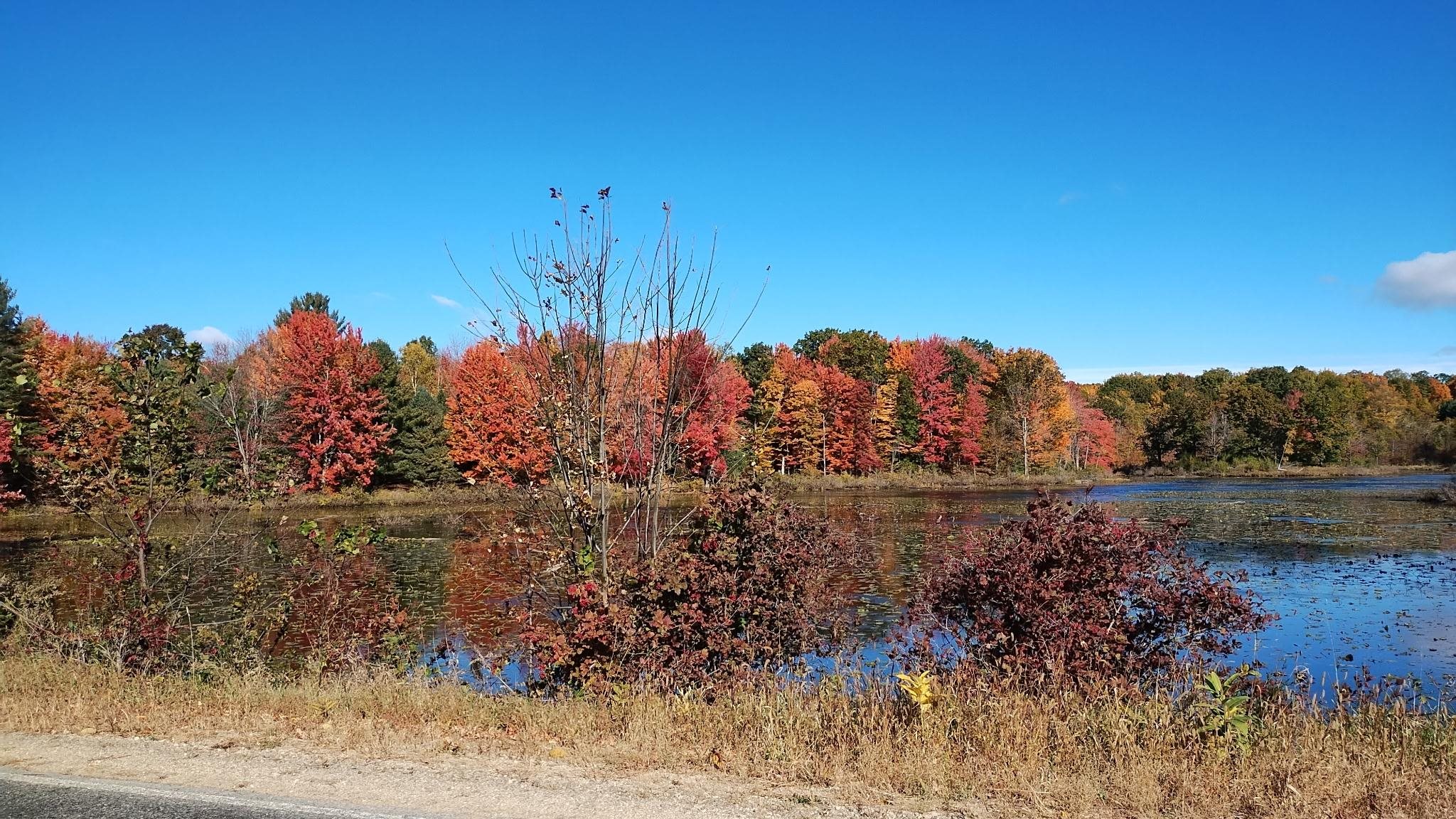 main property photo 40