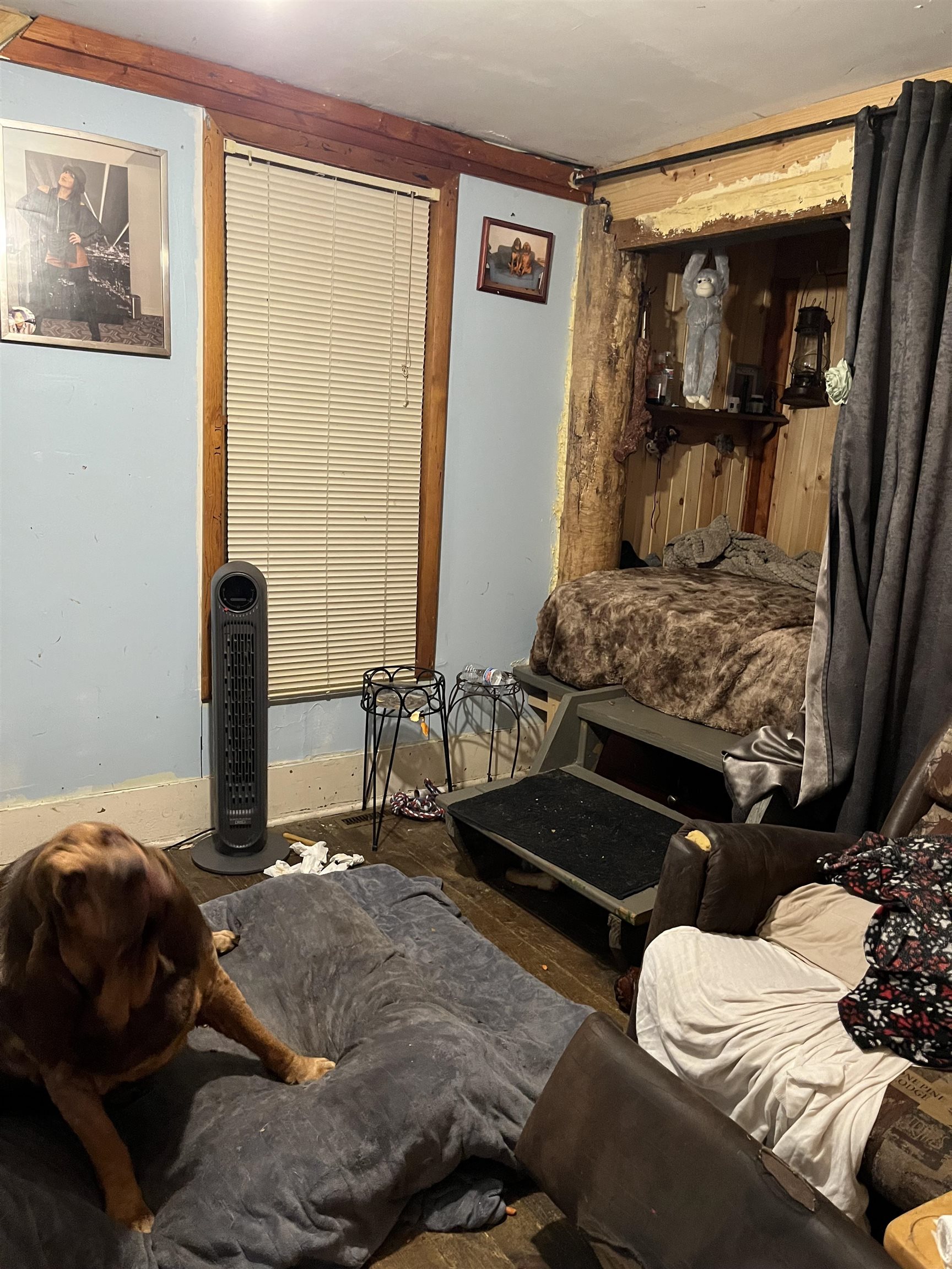 main property photo 6