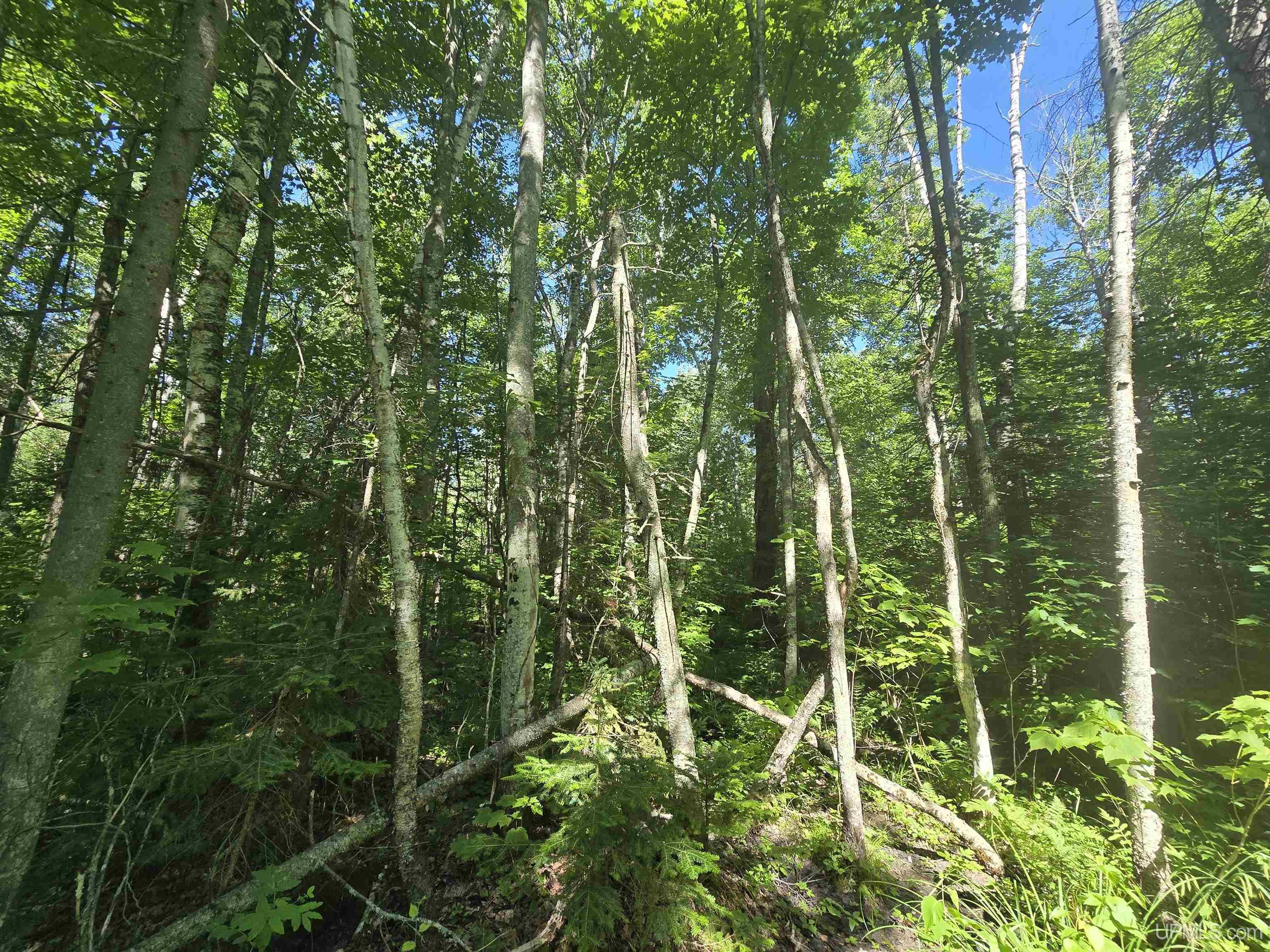 main property photo 46