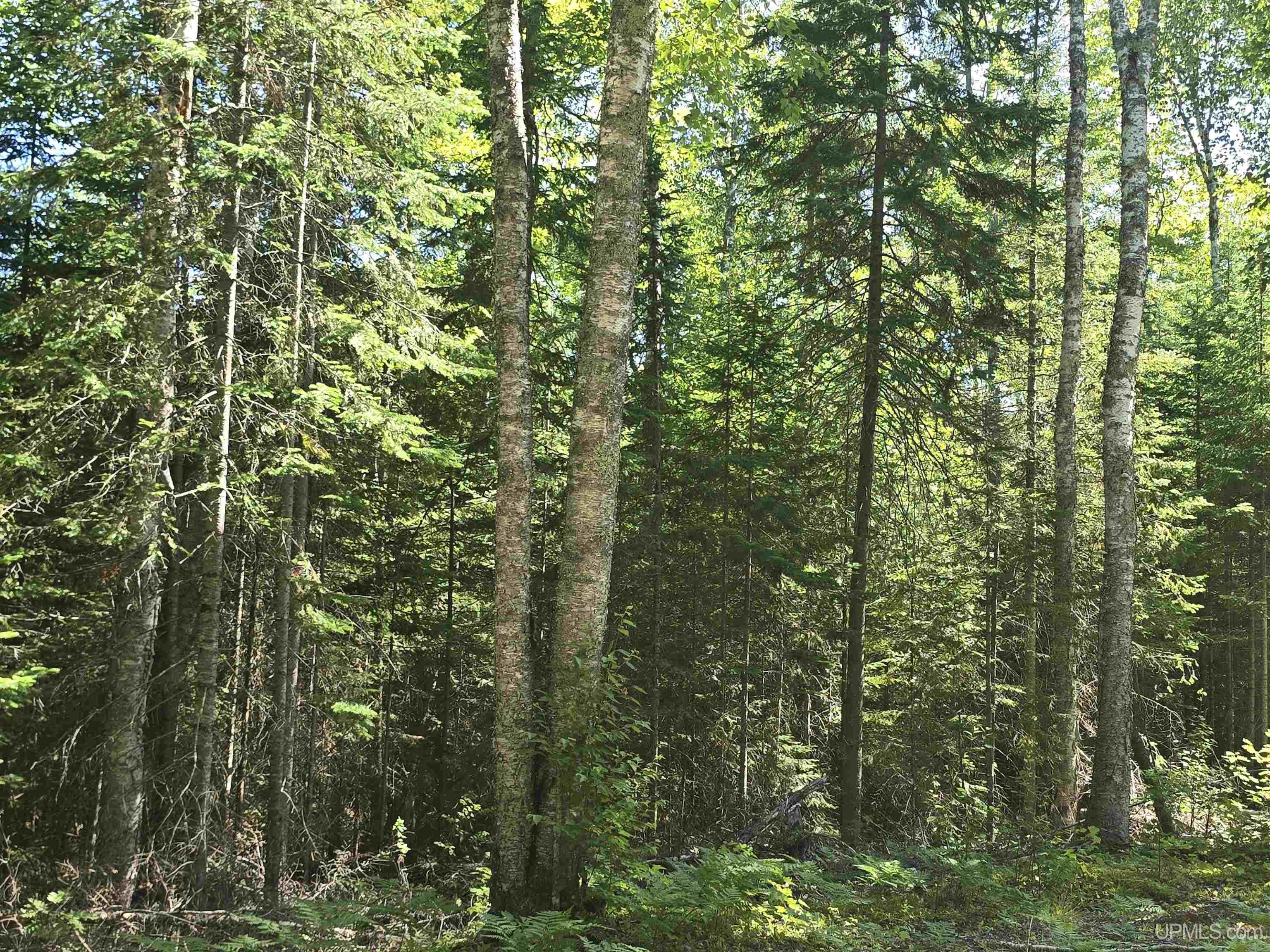 main property photo 47