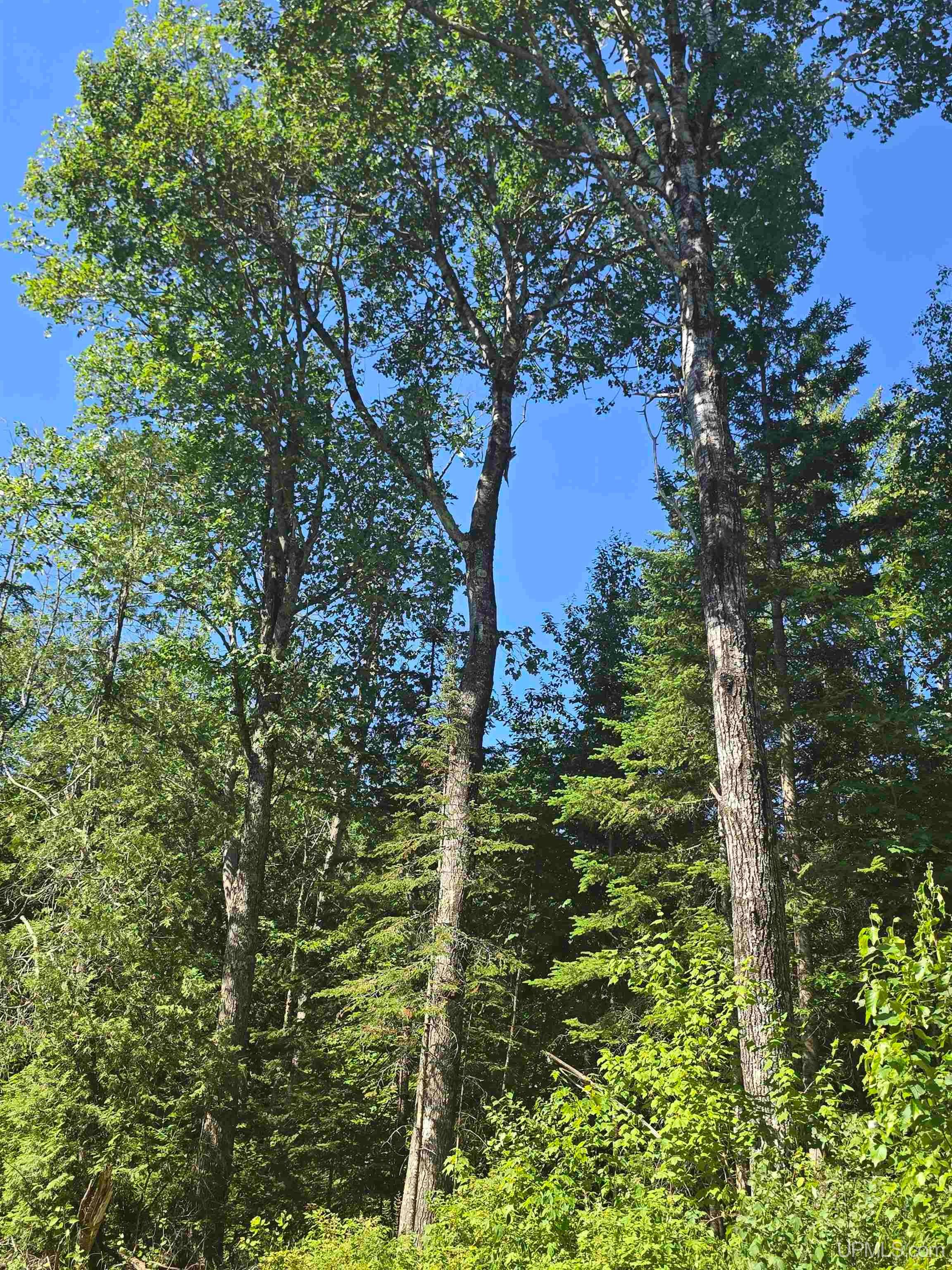 main property photo 48