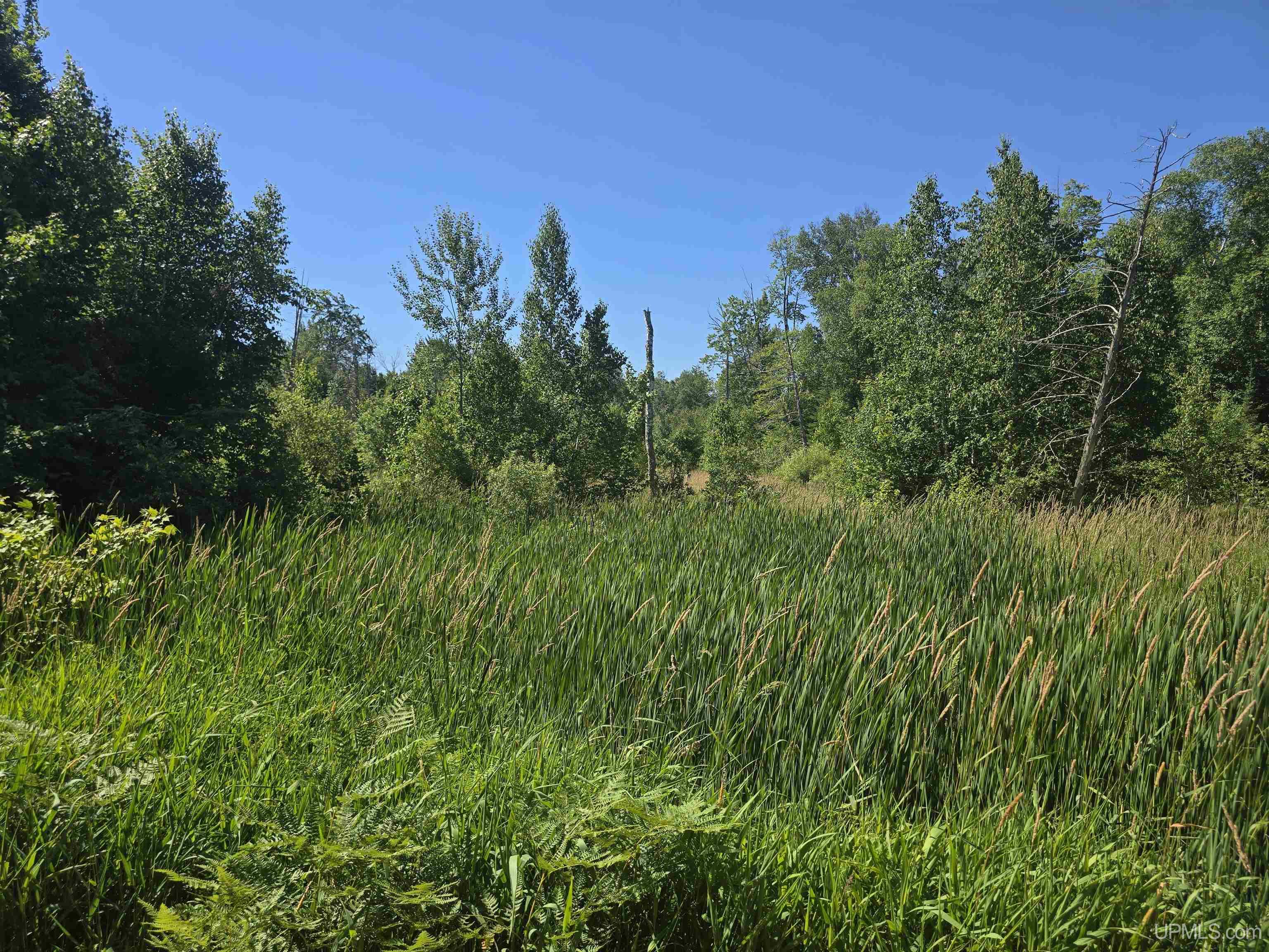 main property photo 59