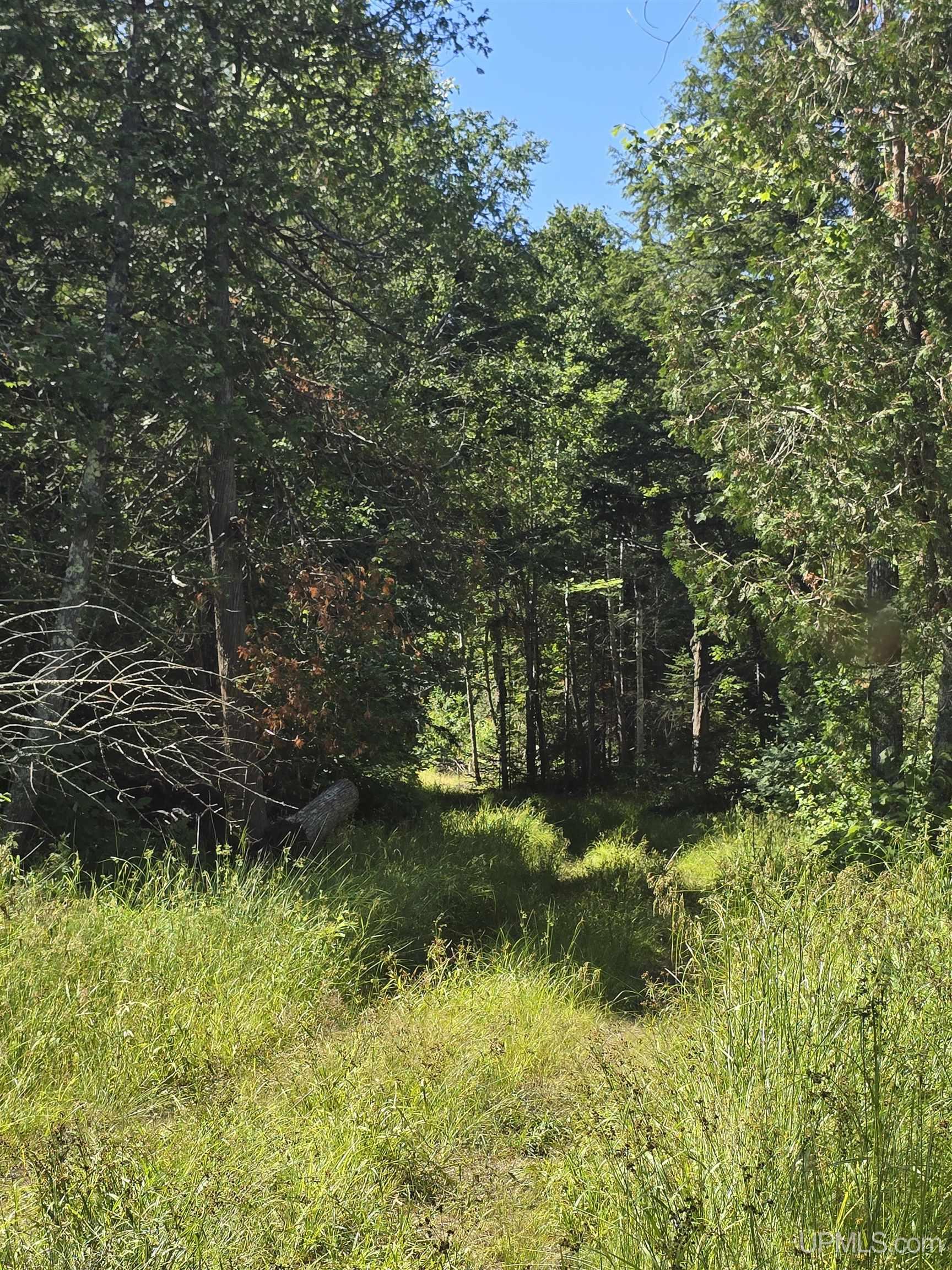 main property photo 61