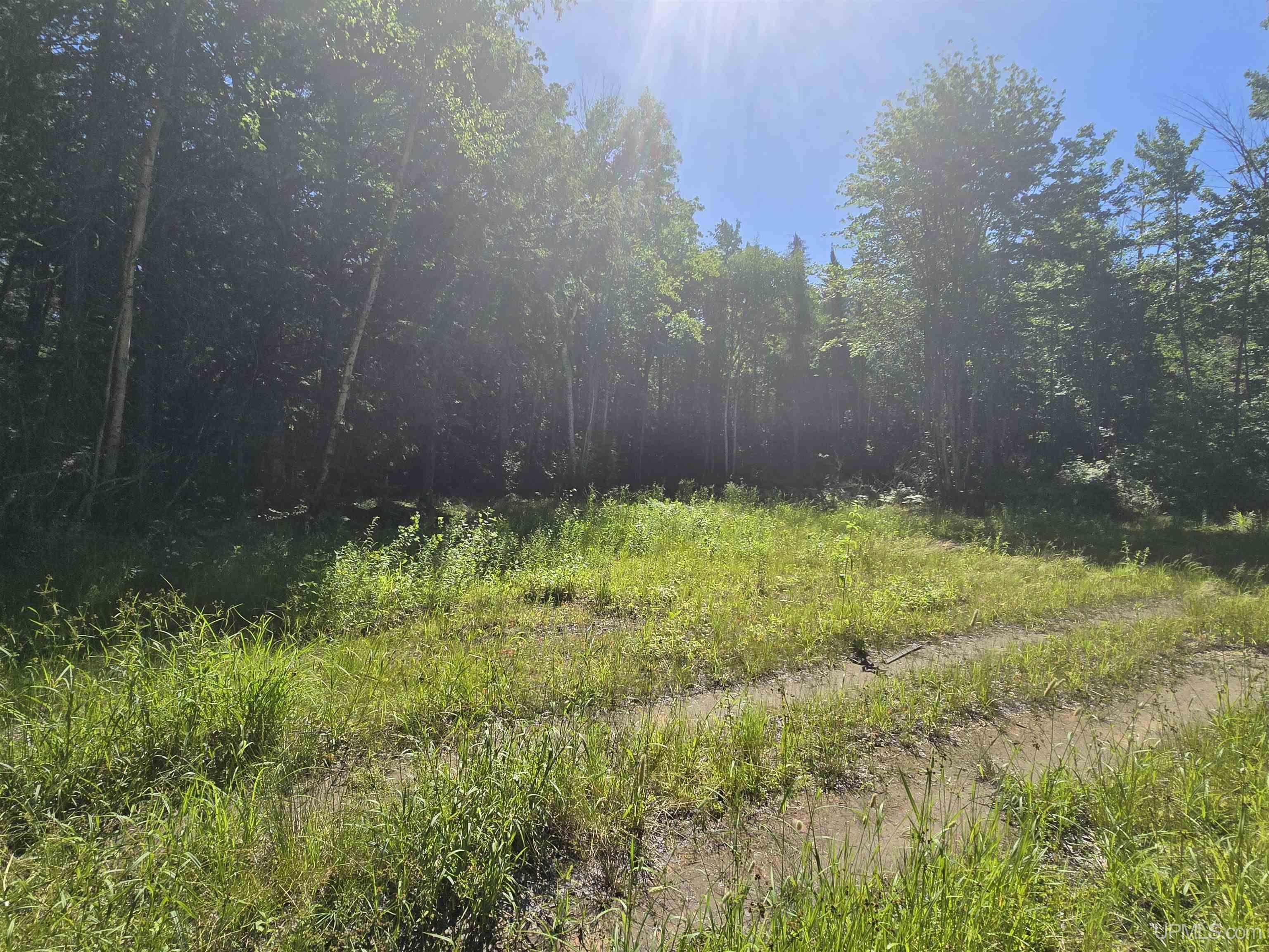 main property photo 62