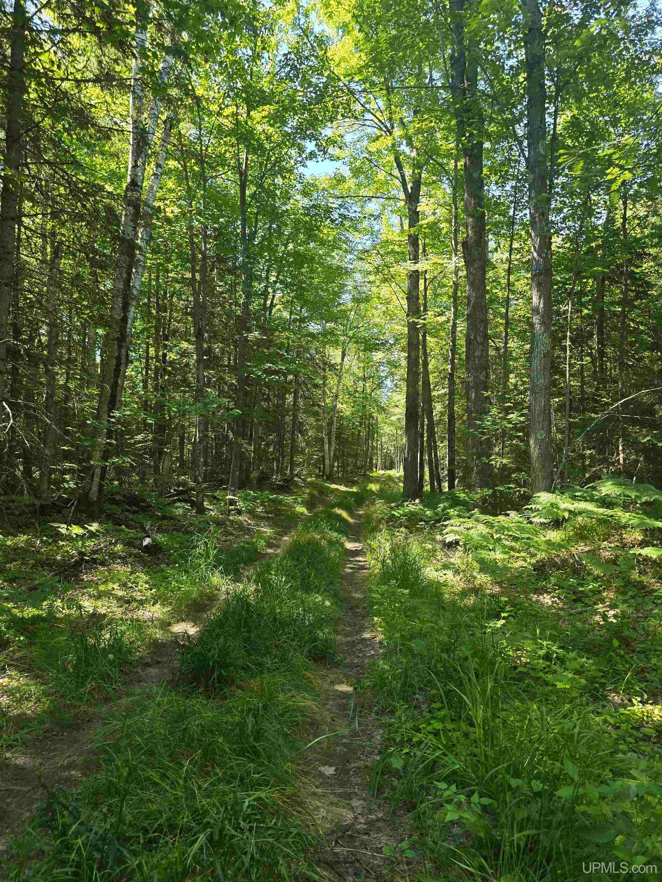 main property photo 67