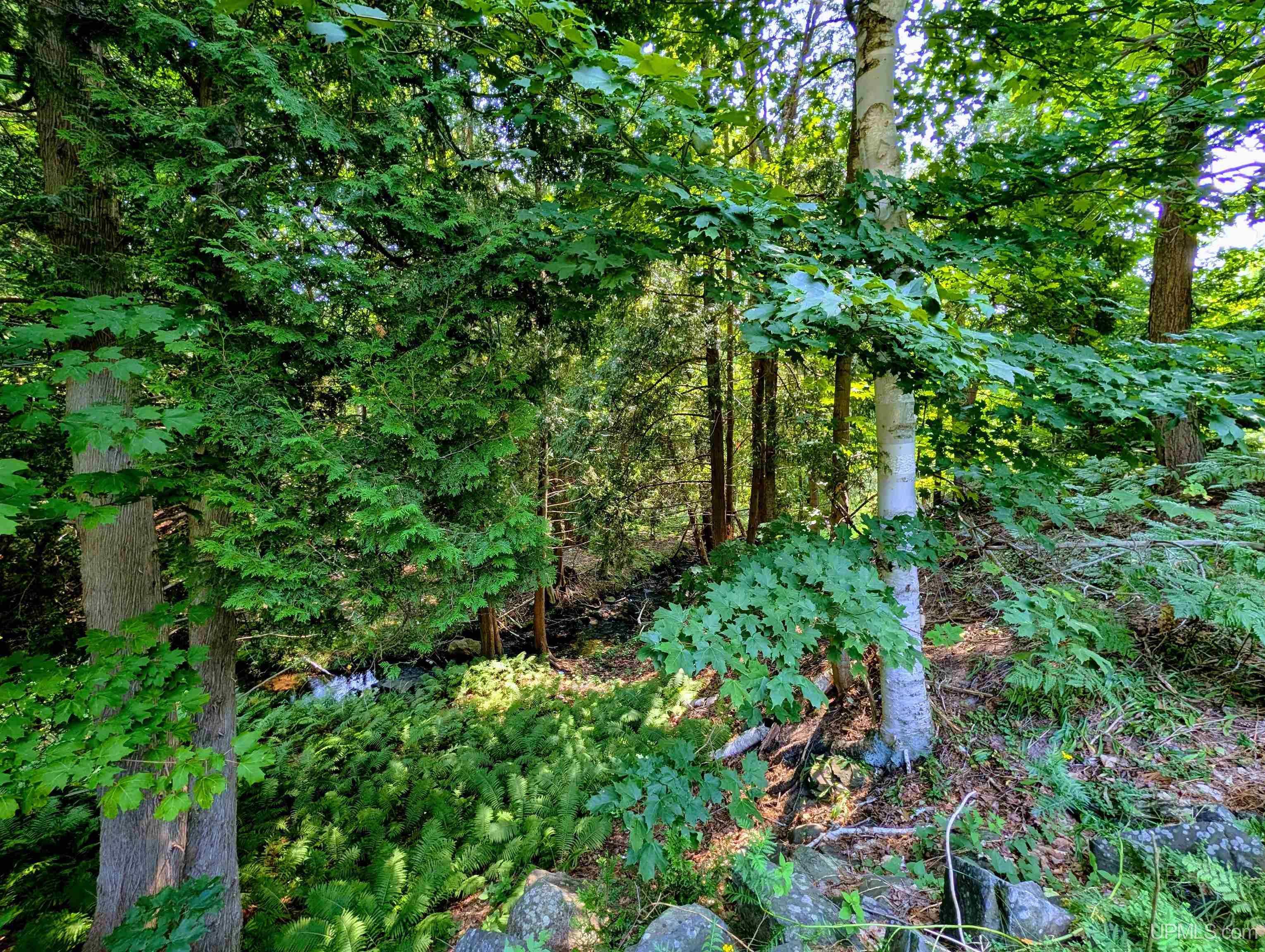 main property photo 47