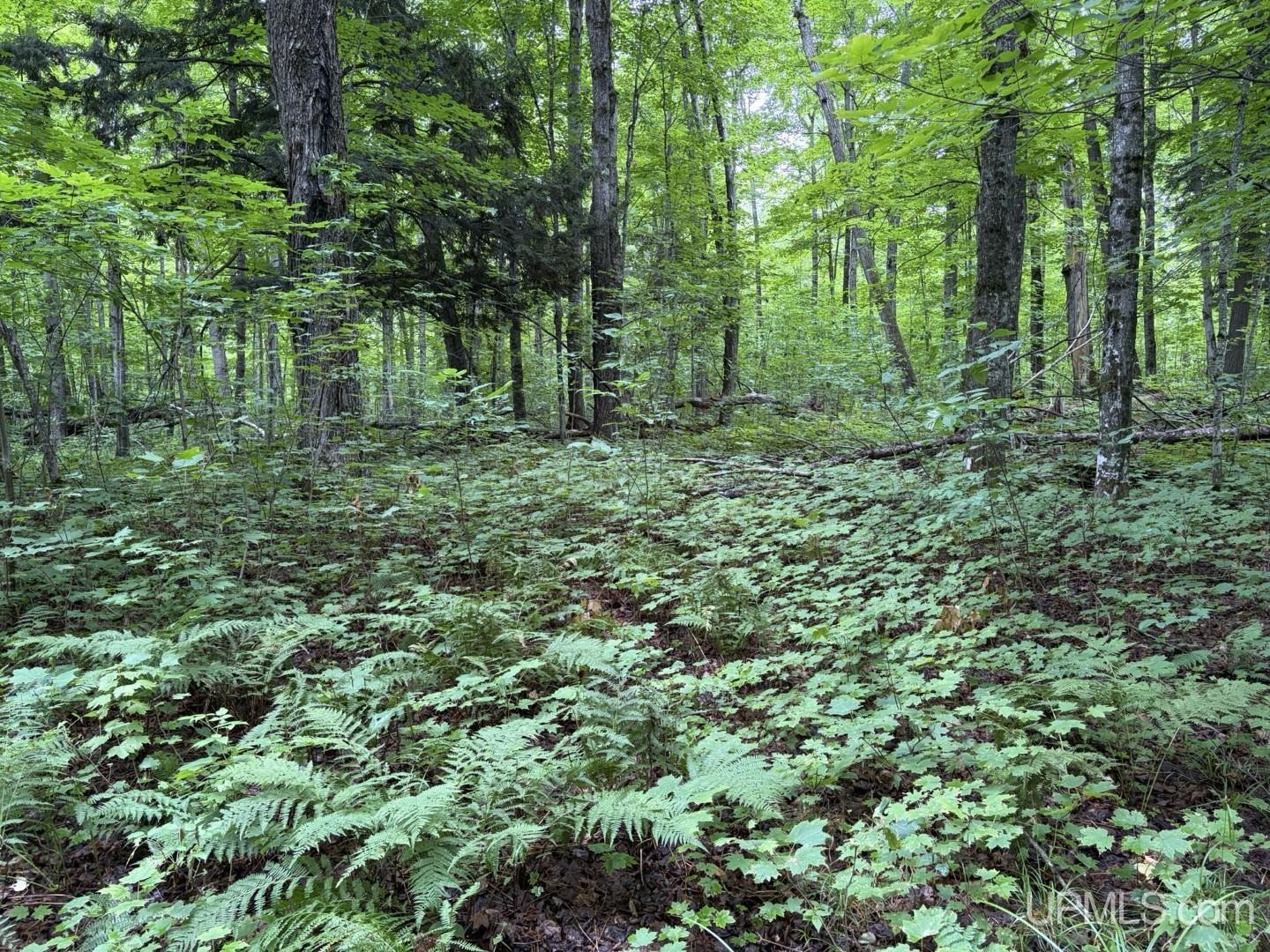 main property photo 0